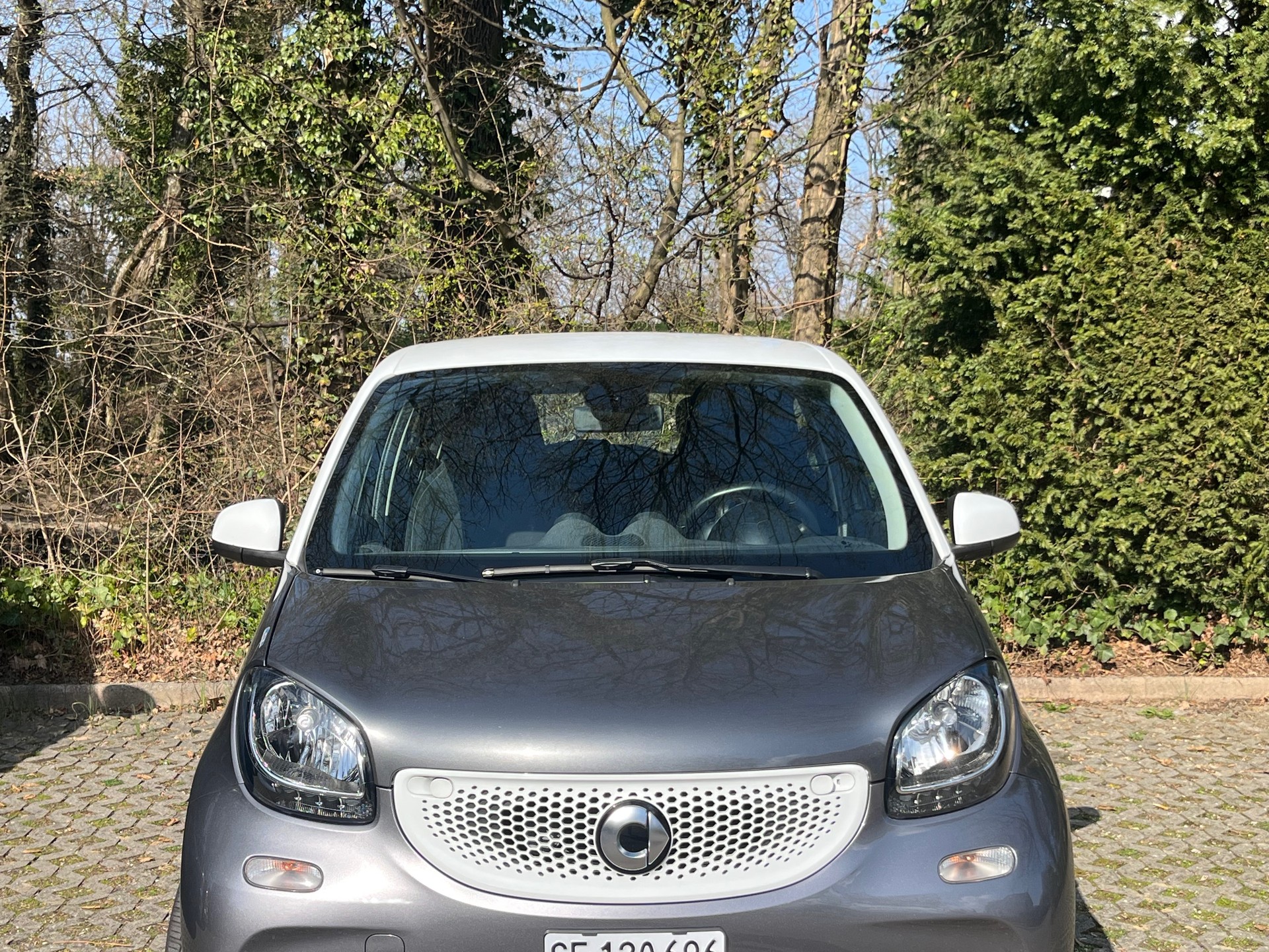 SMART forfour passion-image-0