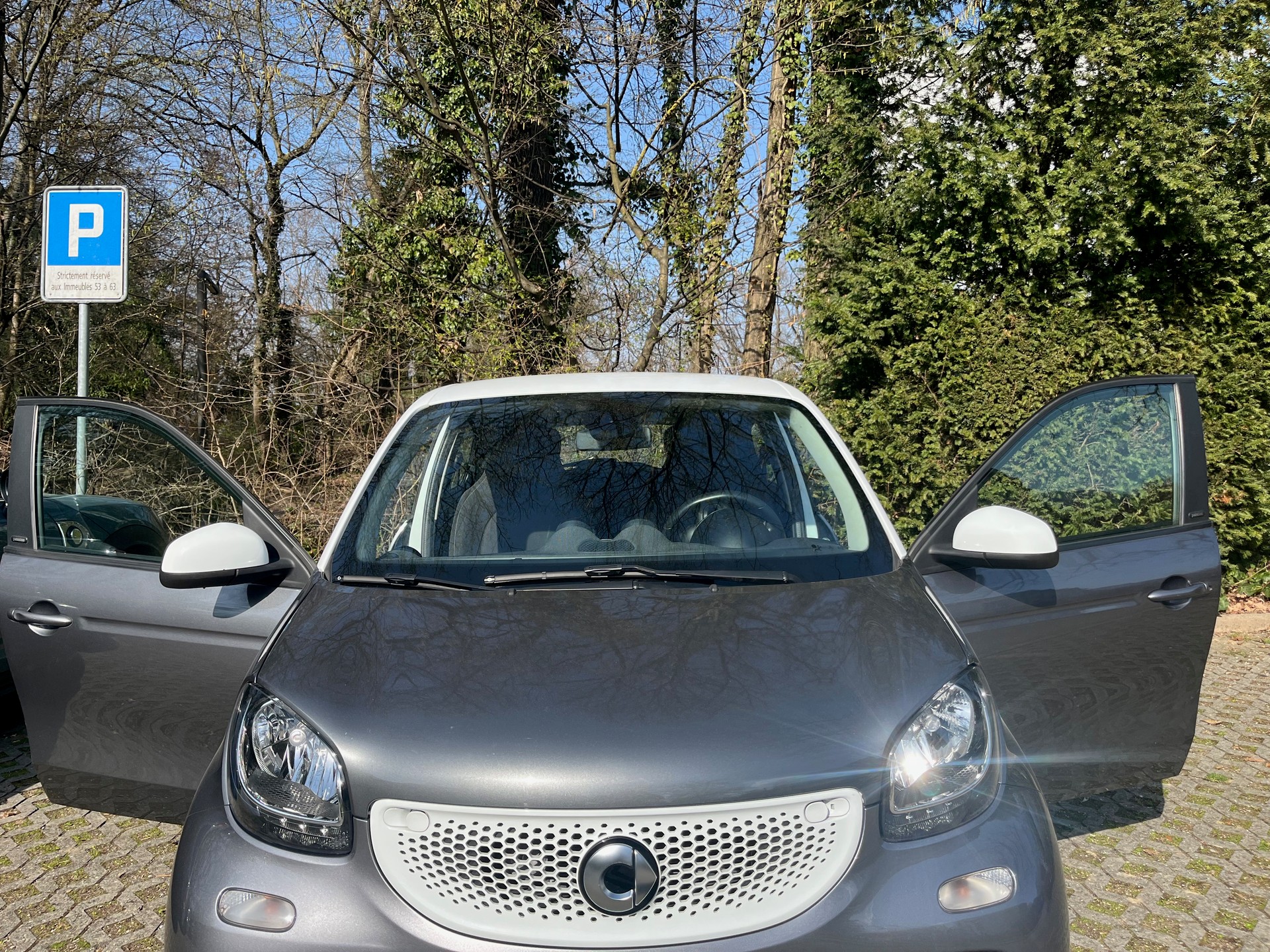 SMART forfour passion-image-2
