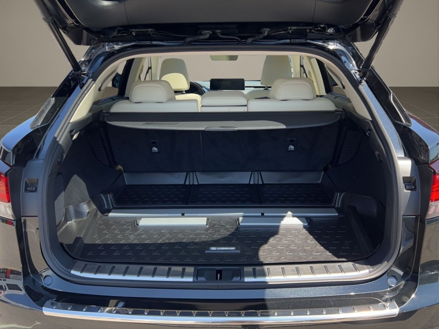 LEXUS RX 450h Excellence-image-14