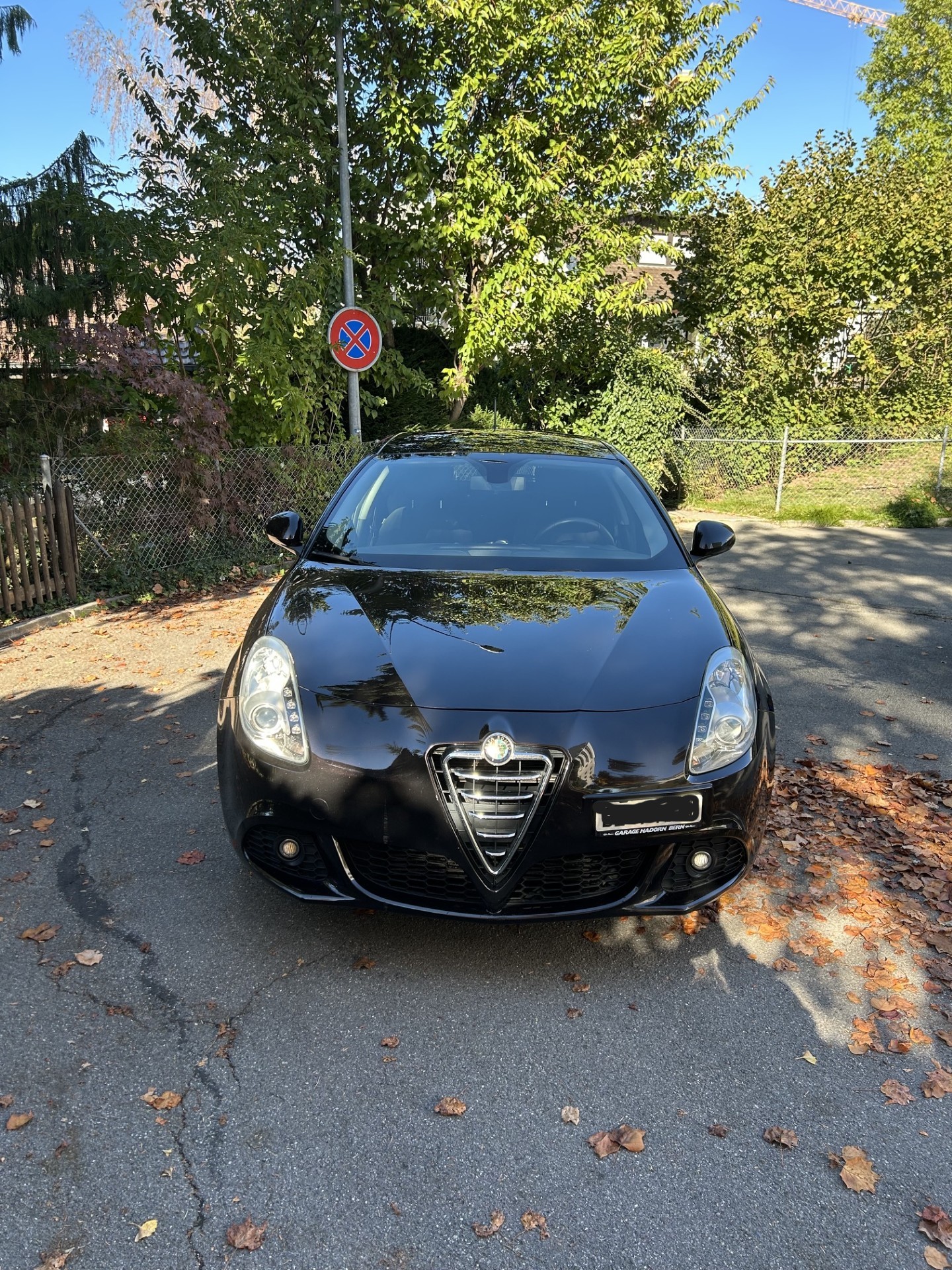 ALFA ROMEO 1.4TB-image-3