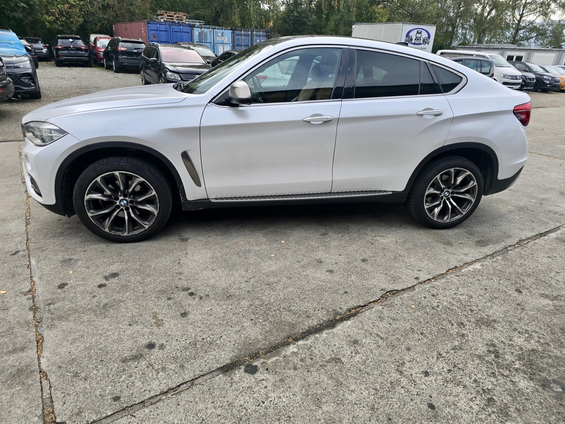 BMW X6 xDrive 30d Steptronic-image-4