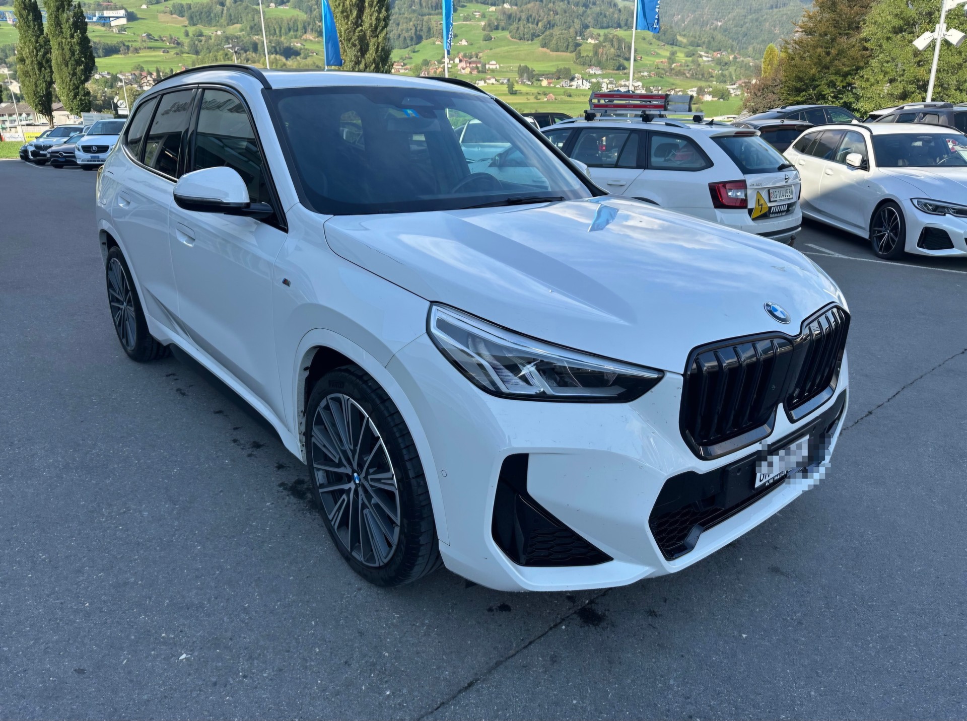 BMW 23i xDrive-image-4