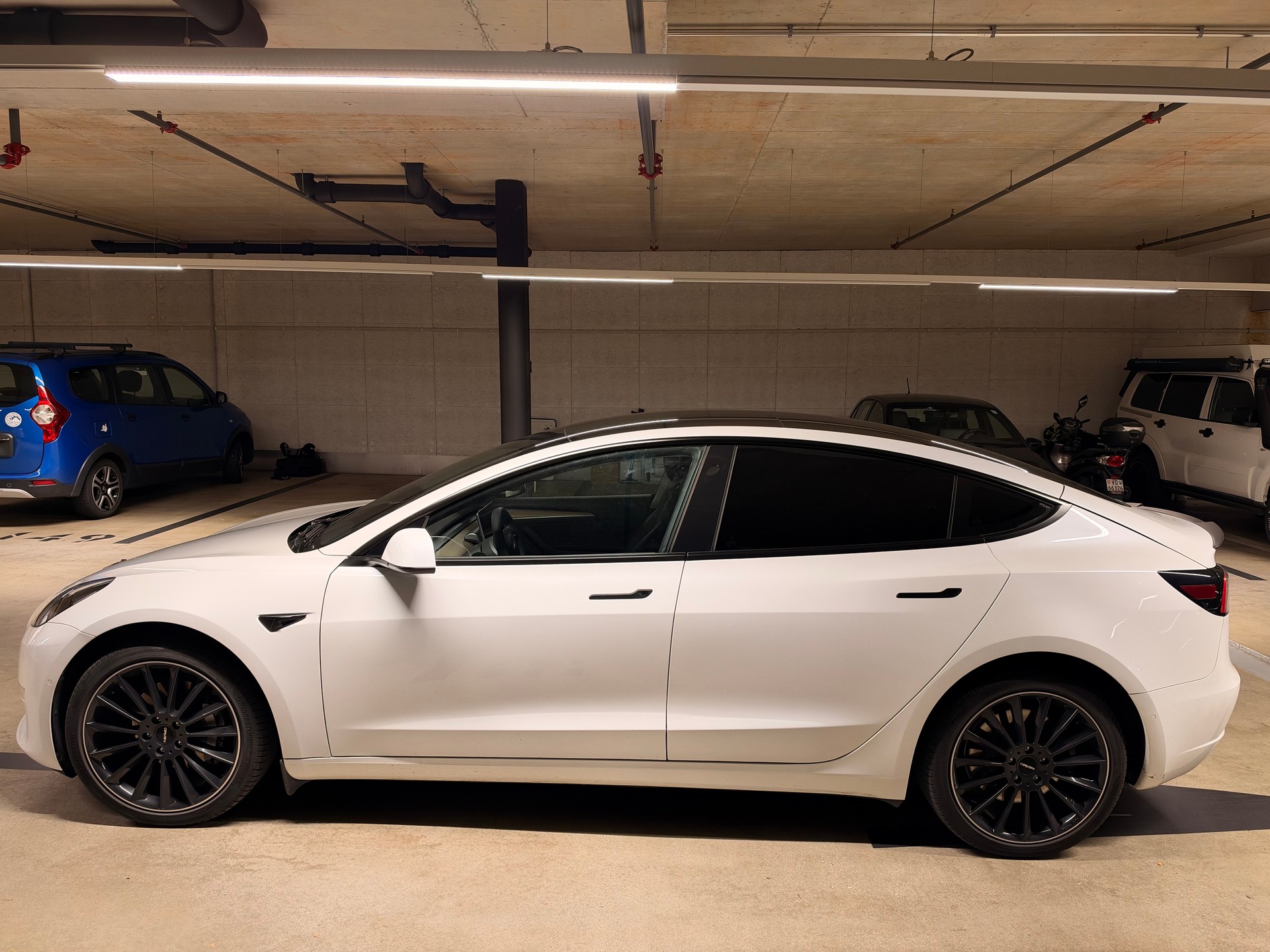 TESLA Long Range D-image-2