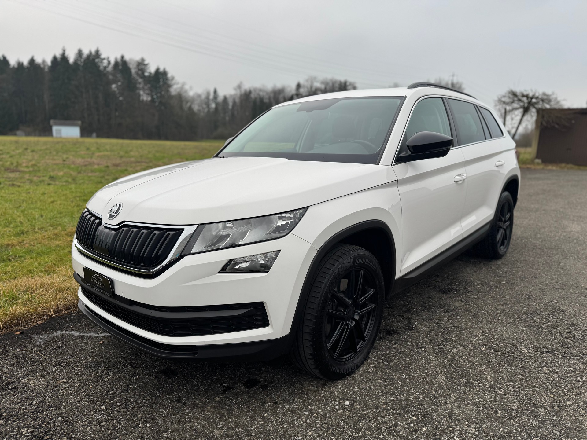 SKODA Kodiaq 2.0 TSI Ambition DSG 4x4 / ab MFK 02.2026-showroom-element-2