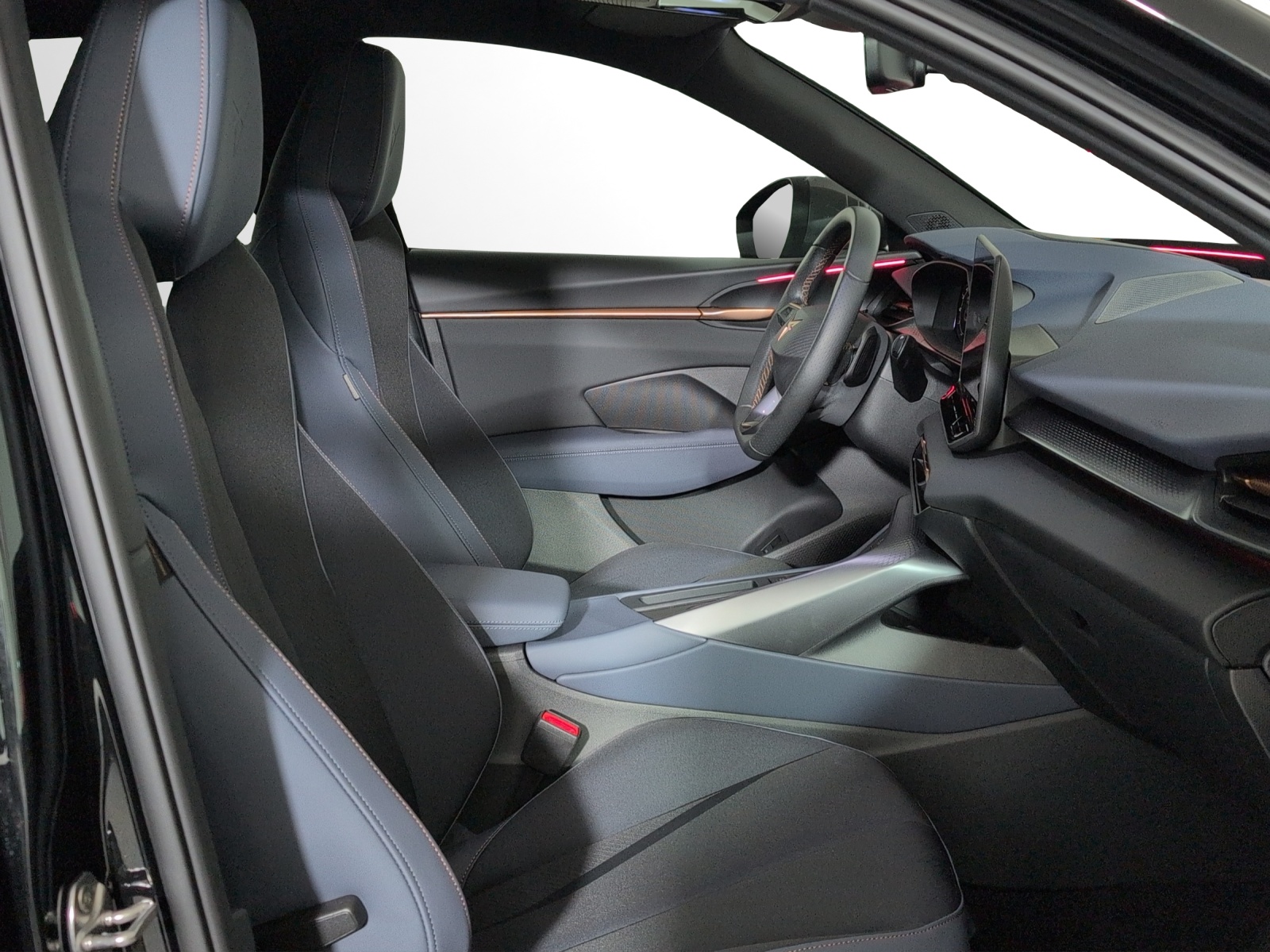 CUPRA Terramar 2.0 TSI DSG 4Drive VZ-image-6