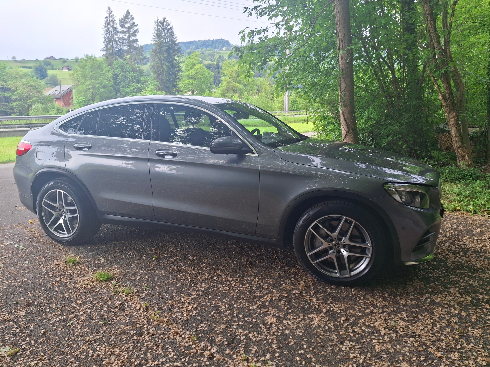 MERCEDES-BENZ GLC 350 d 4m-image-0