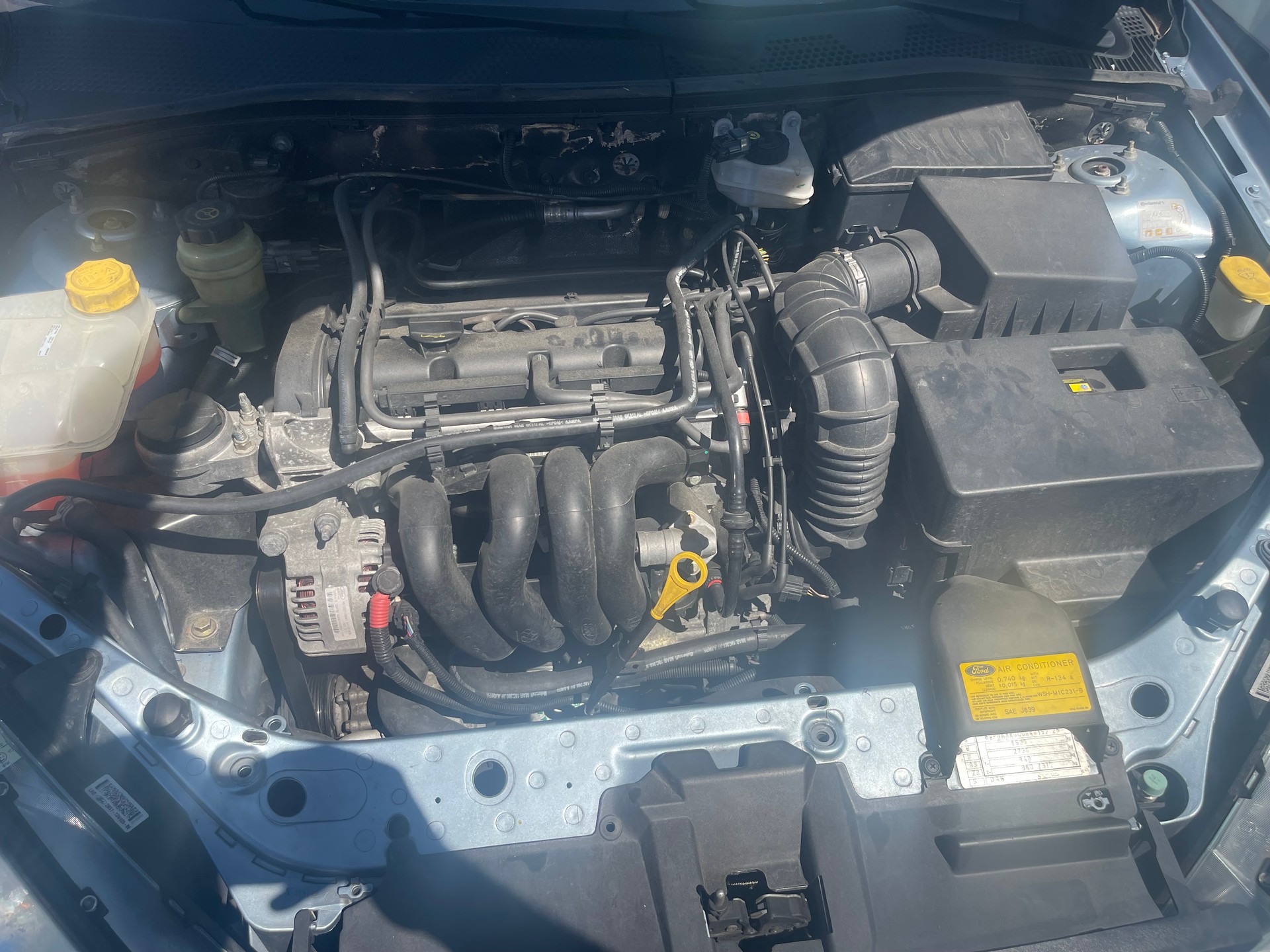 FORD Focus 1.6i 16V Carving-image-11