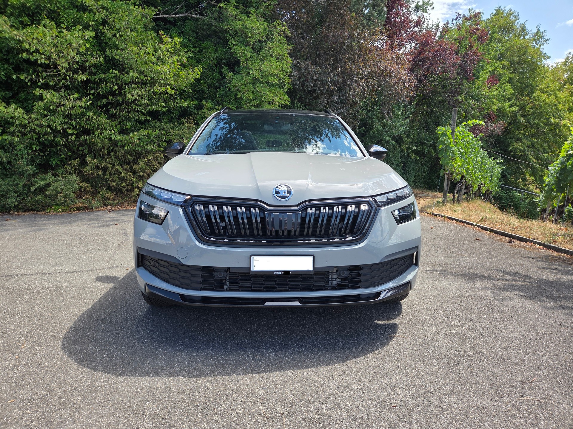SKODA 1.0 TSI Monte Carlo DSG-image-5