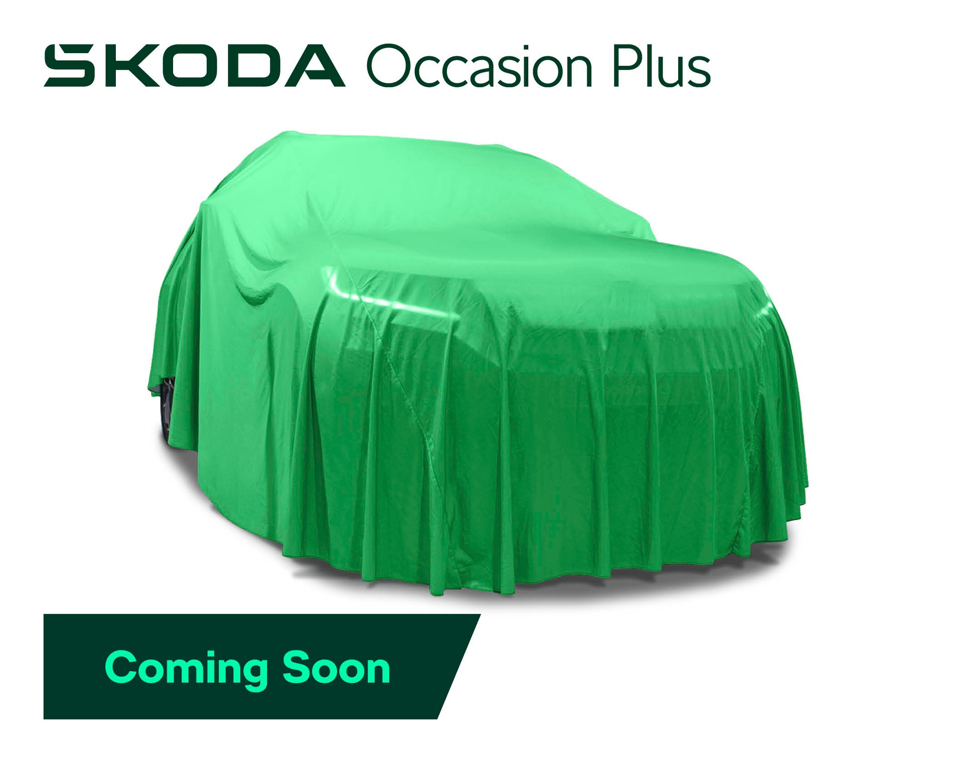 SKODA Kodiaq 2.0 TSI RS 4x4