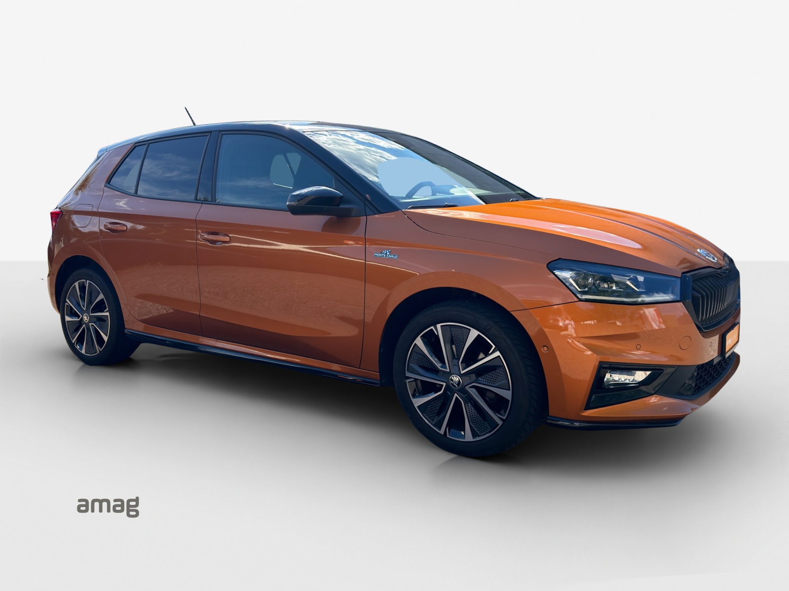 SKODA Fabia 1.0 TSI Monte Carlo DSG-image-5
