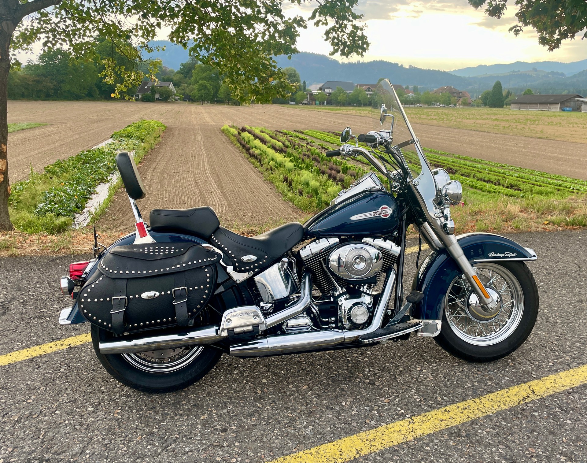 HARLEY-DAVIDSON FLSTCI Softail Classic