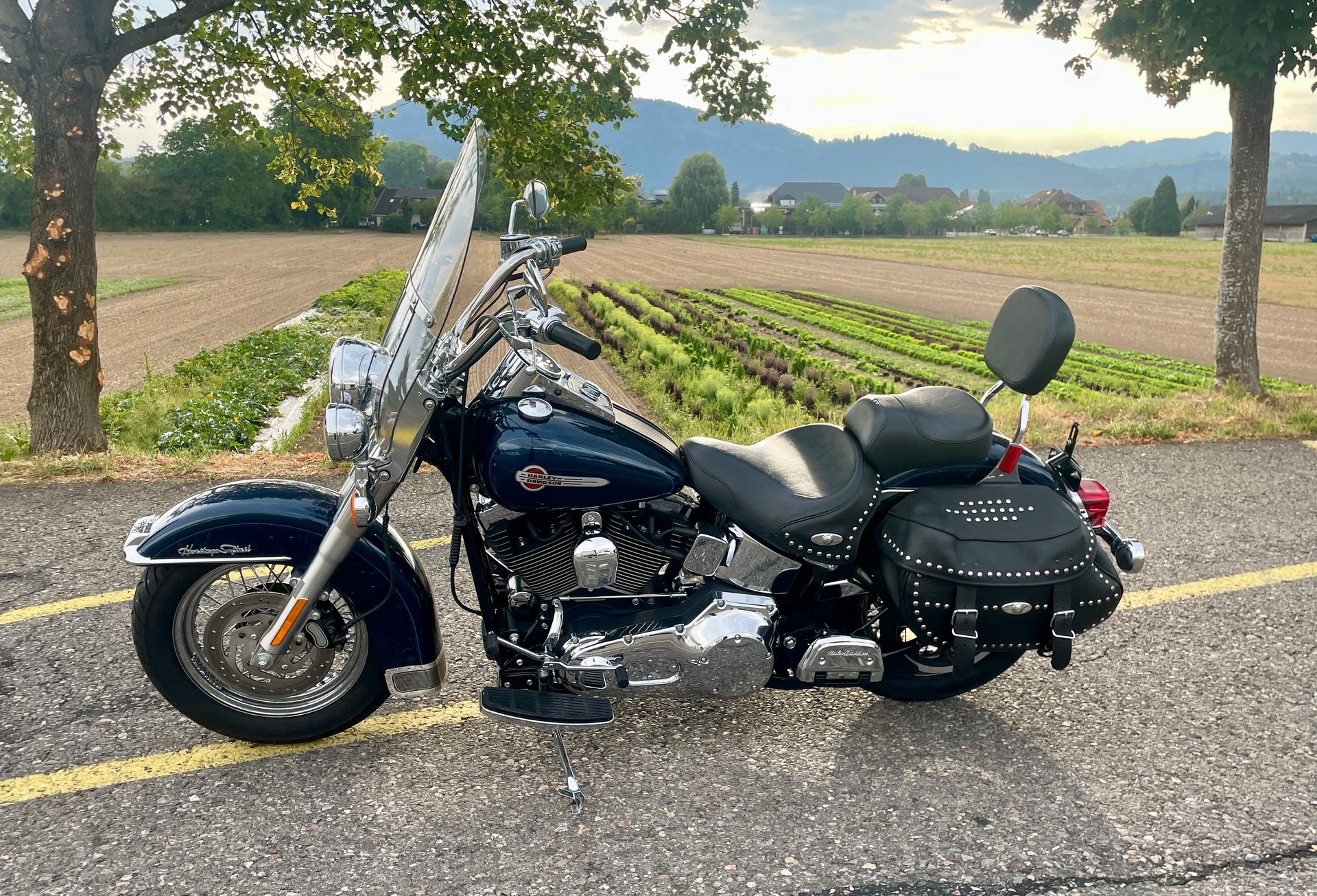 HARLEY-DAVIDSON FLSTCI Softail Classic-image-5