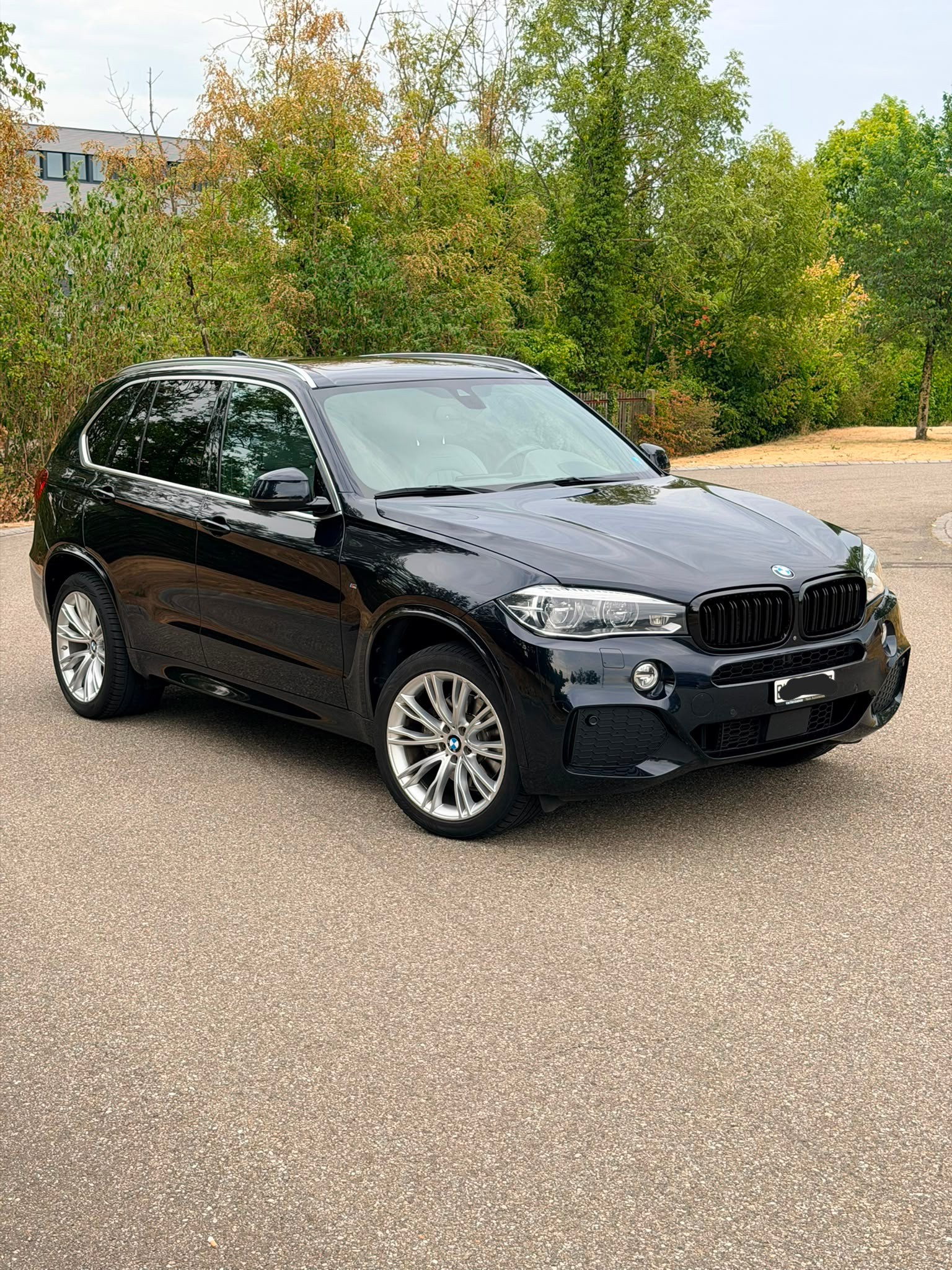 BMW X5 xDrive 40d Steptronic-image-4