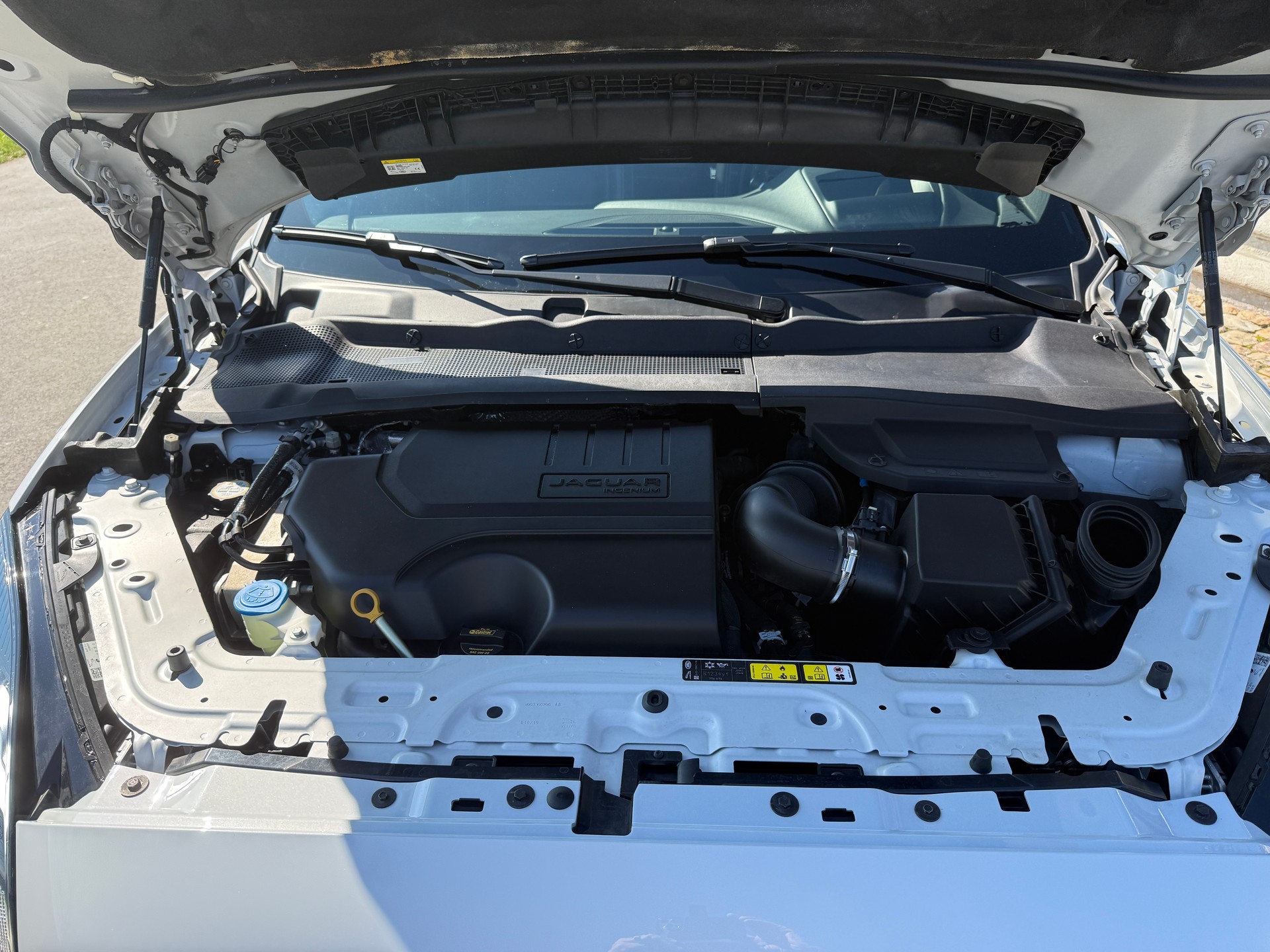 JAGUAR E-Pace 2.0 P250 R-Dynamic SE AWD Automatik-image-28