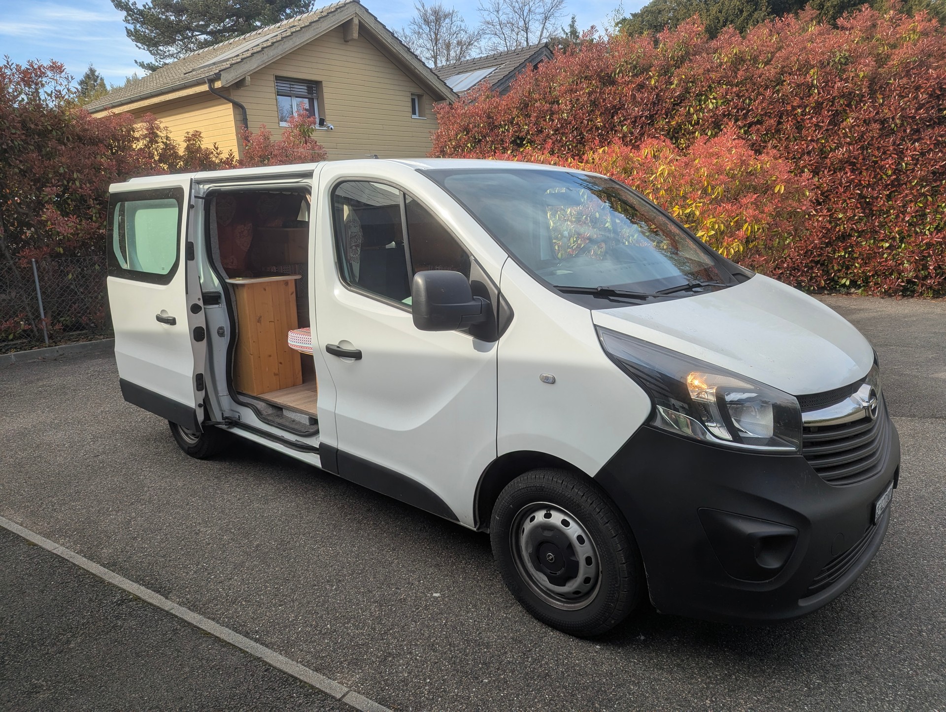 OPEL VIVARO-image-1