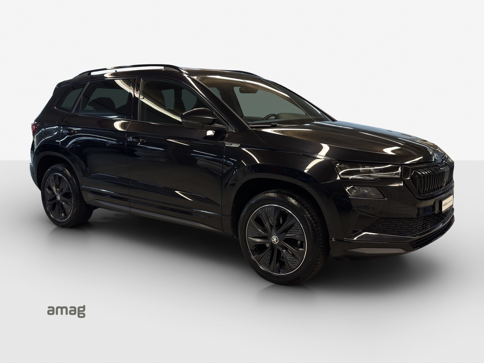 SKODA Karoq 1.5 TSI SportLine DSG-image-5