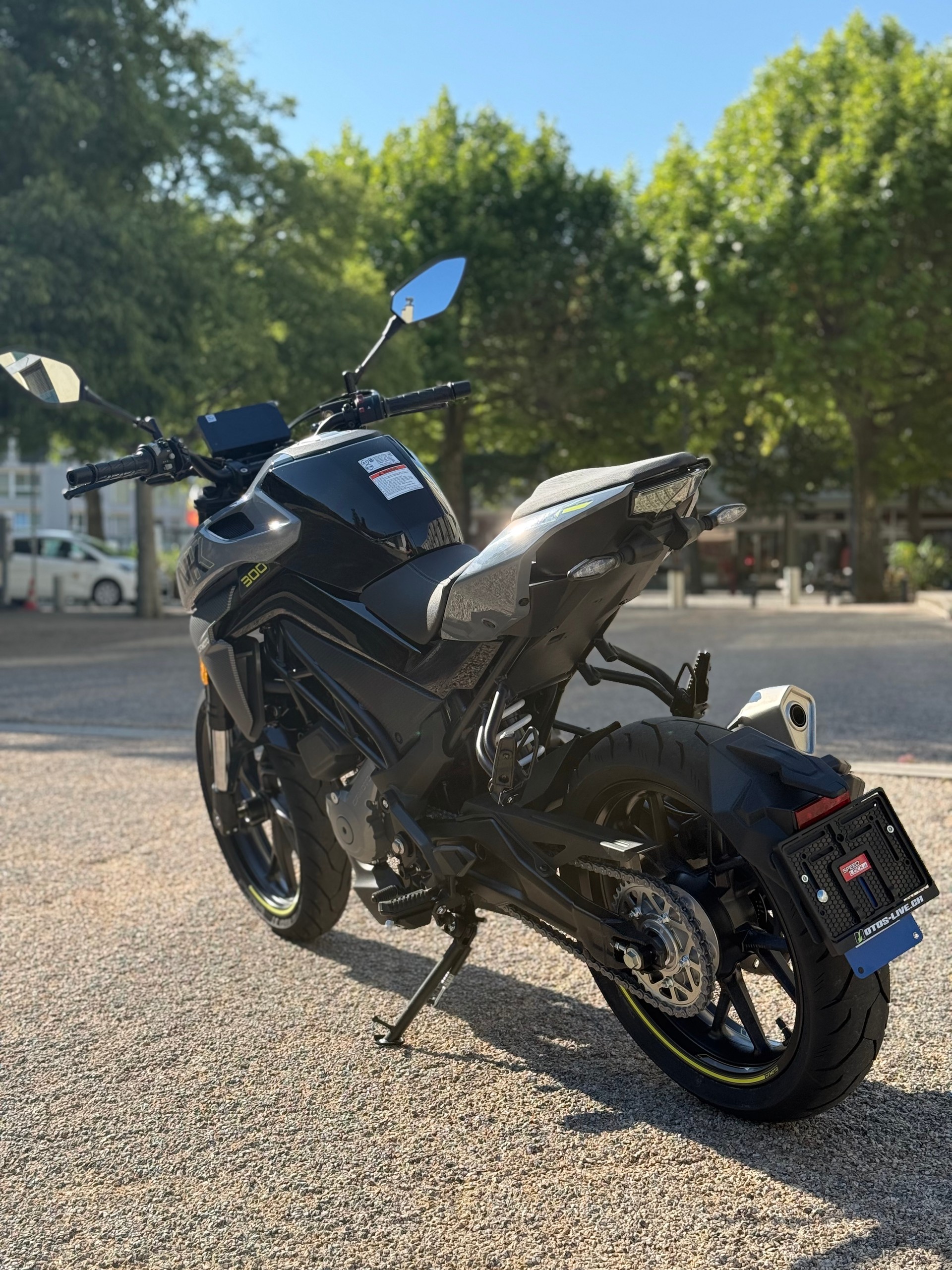 CF MOTO 300NK-image-10