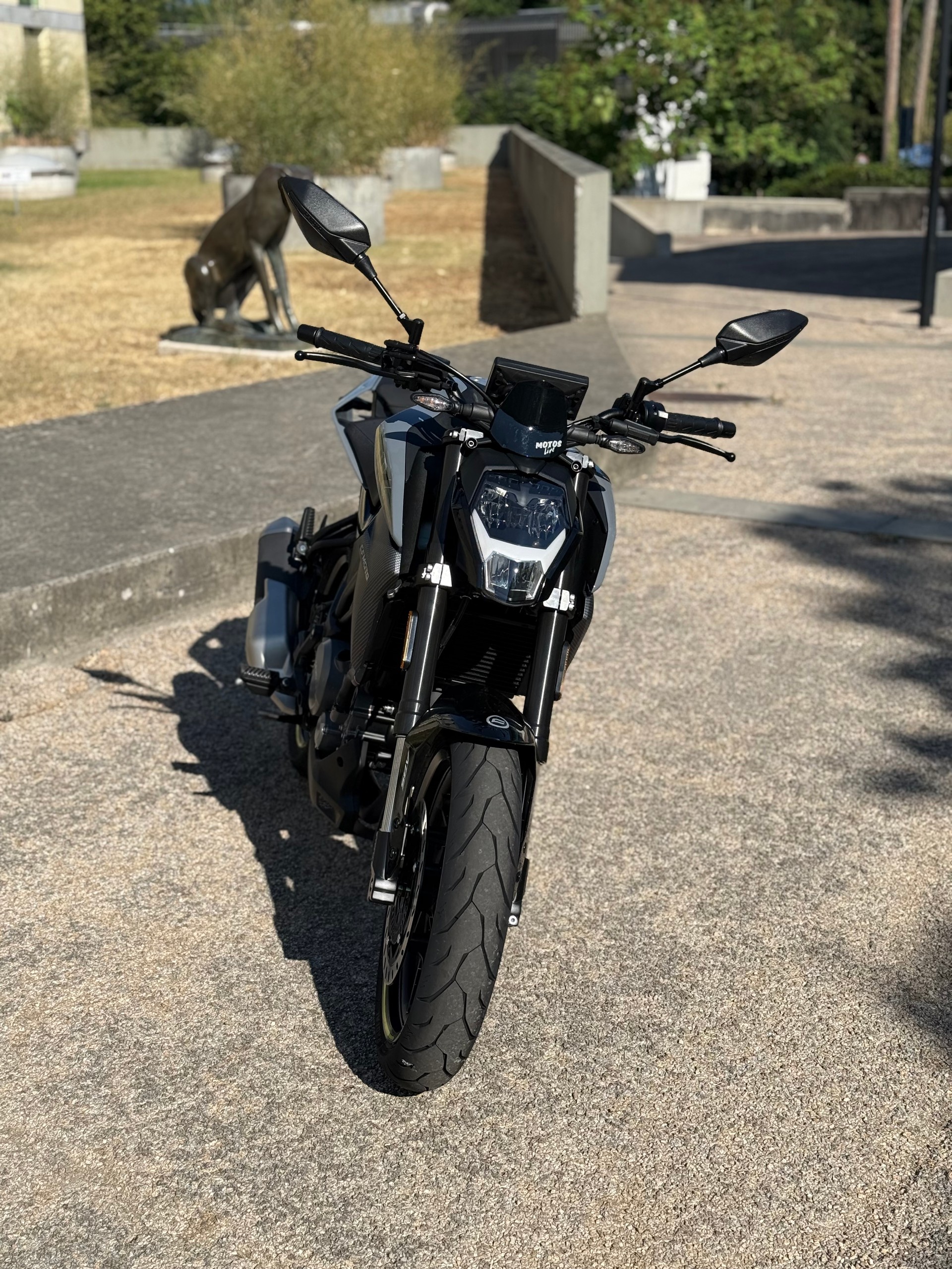 CF MOTO 300NK-image-4