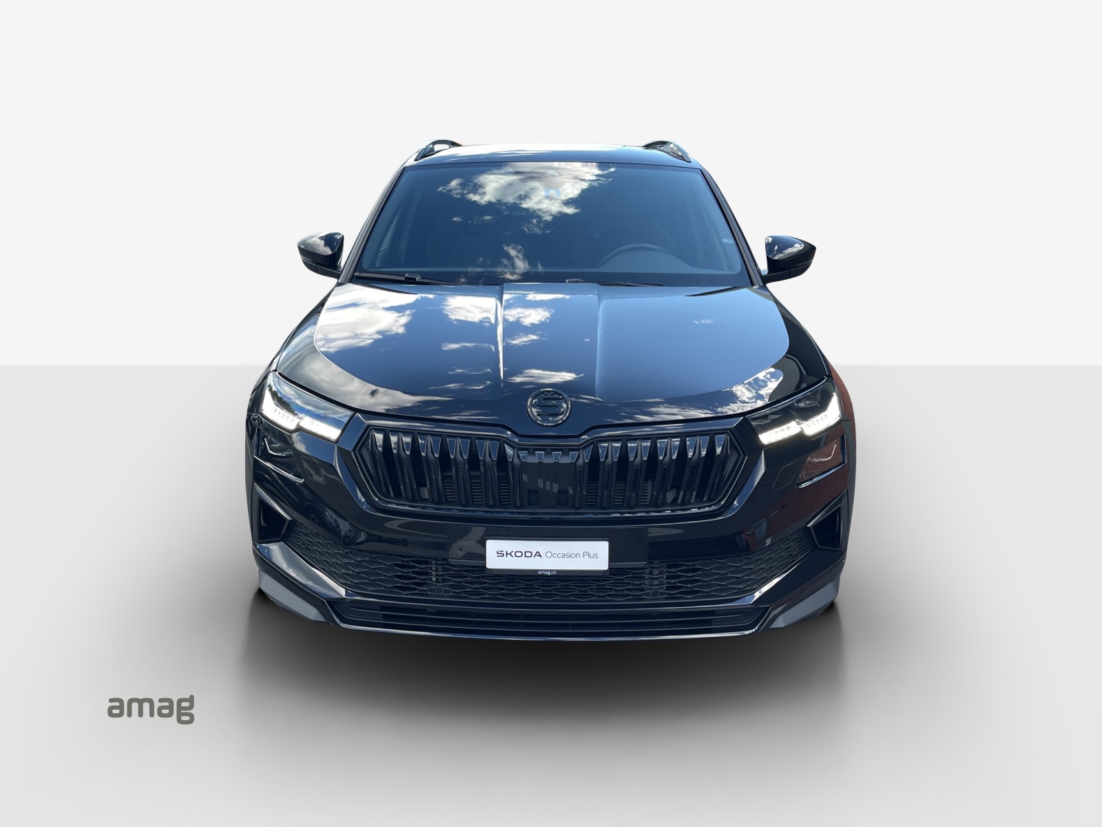 SKODA Karoq 1.5 TSI SportLine DSG-image-6