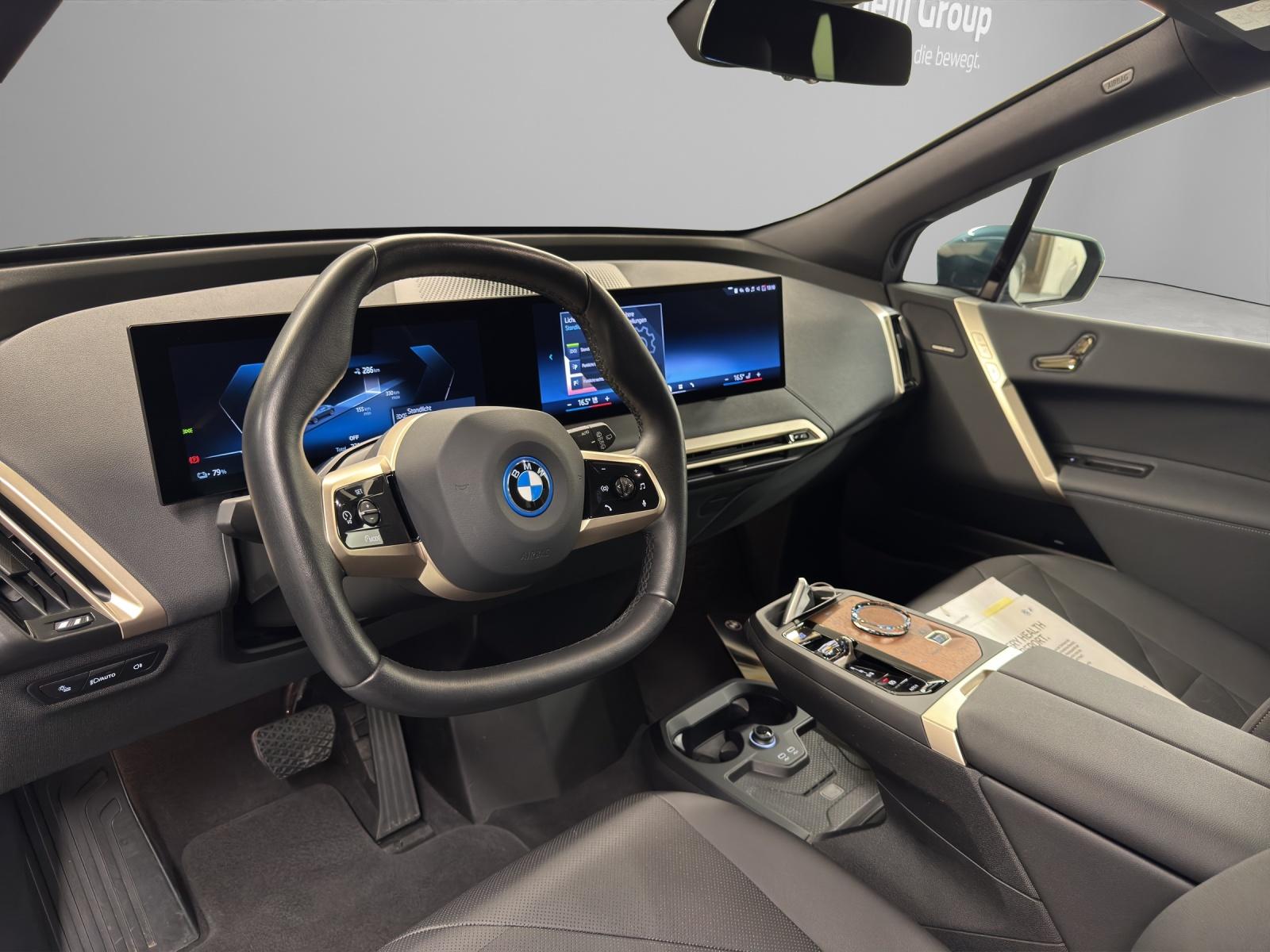BMW iX xDrive40-image-11