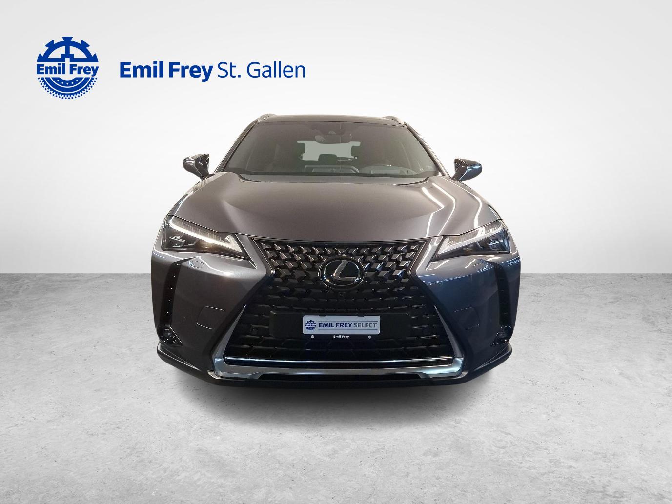 LEXUS UX 300e Excellence-image-6