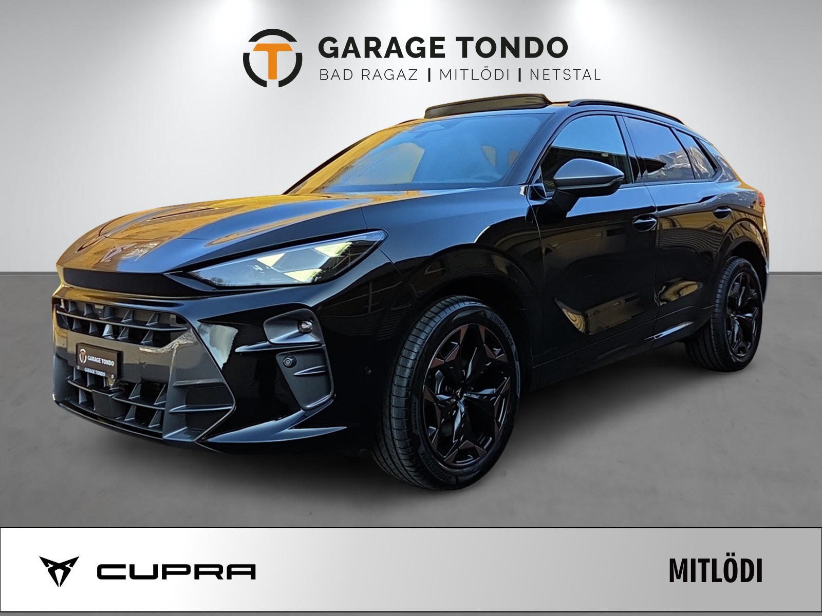 CUPRA Terramar 2.0 TSI Prime Edition VZ 4Drive DSG-image-0