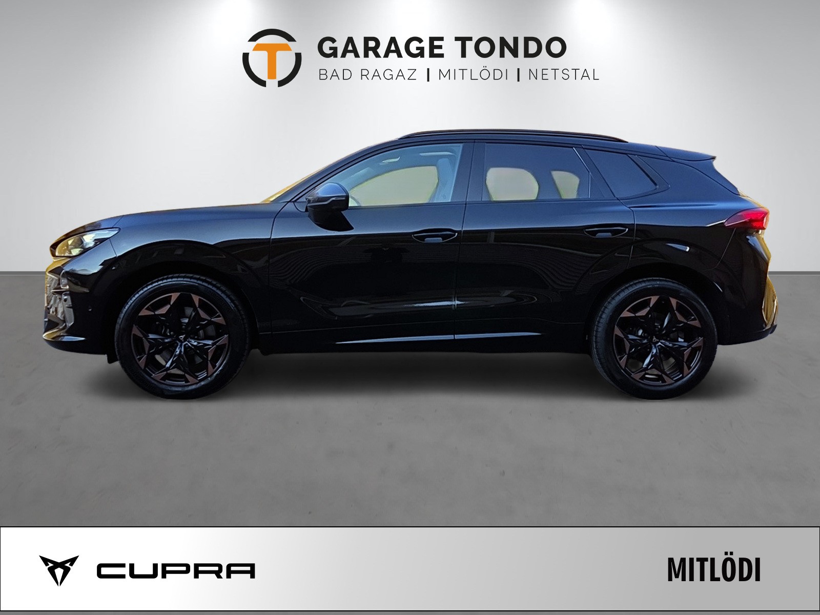 CUPRA Terramar 2.0 TSI Prime Edition VZ 4Drive DSG-image-2