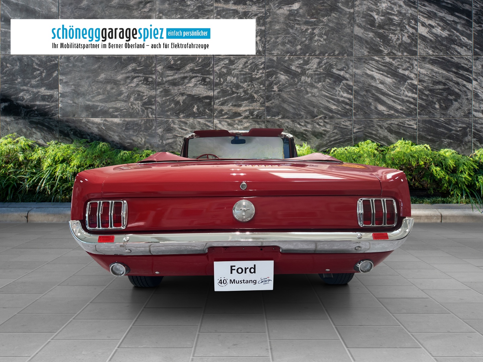 FORD Mustang 1966-image-3