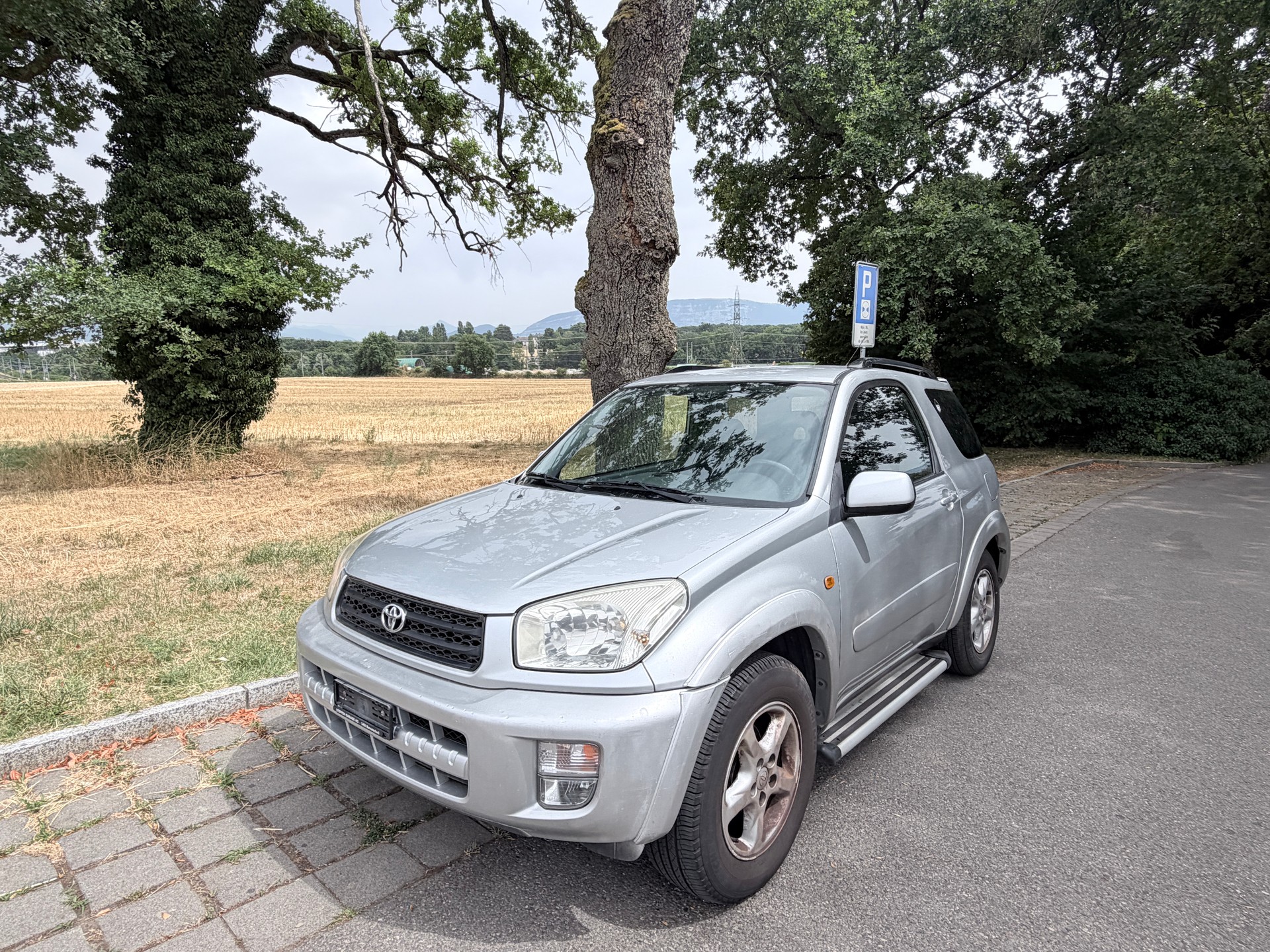 TOYOTA RAV-4 2.0 16V Linea Terra-image-1