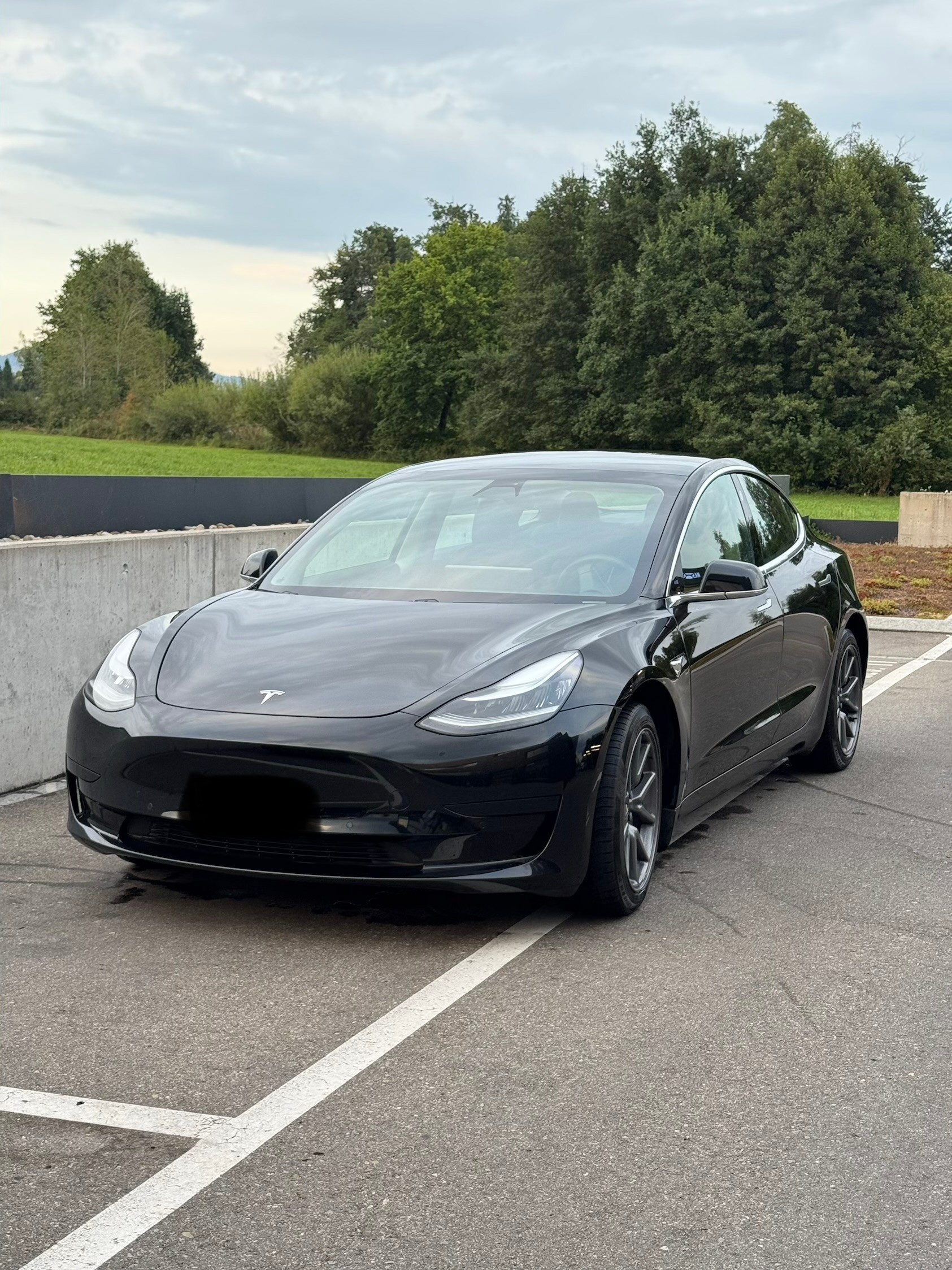 TESLA Standart Range Plus-image-1
