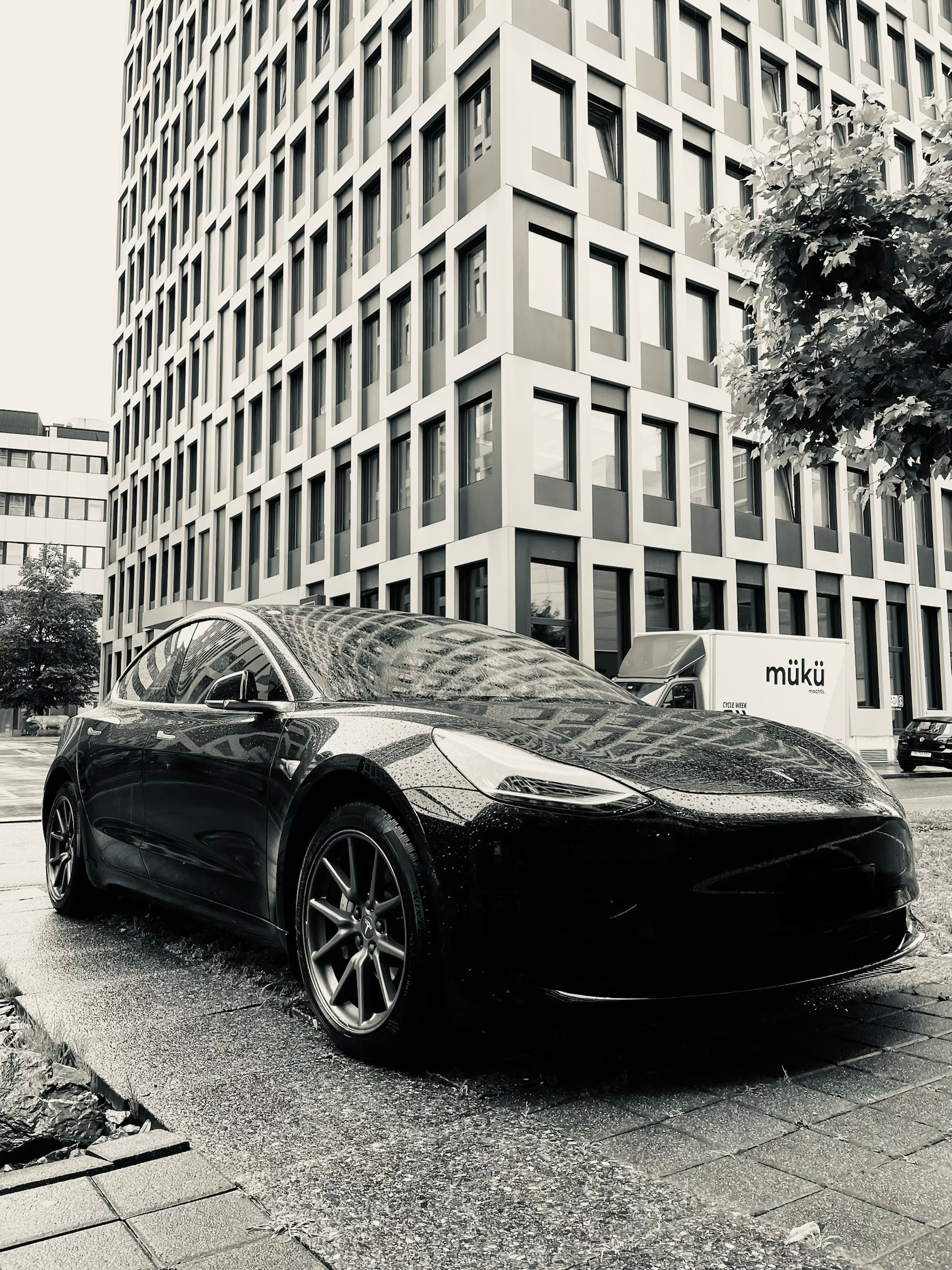 TESLA Standart Range Plus-image-0
