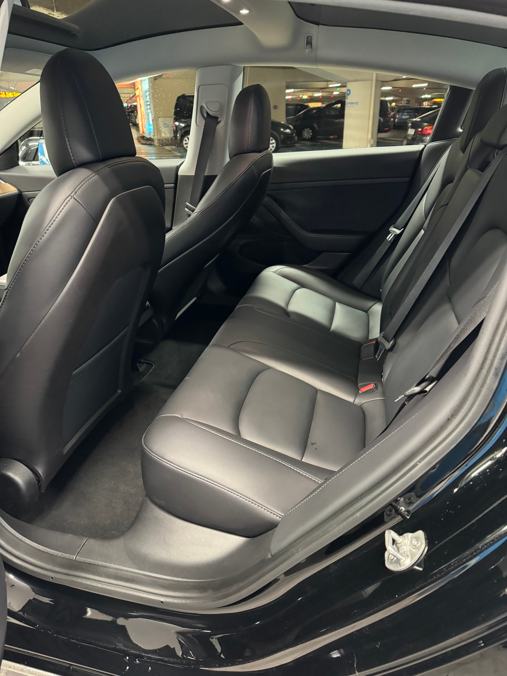 TESLA Standart Range Plus-image-4