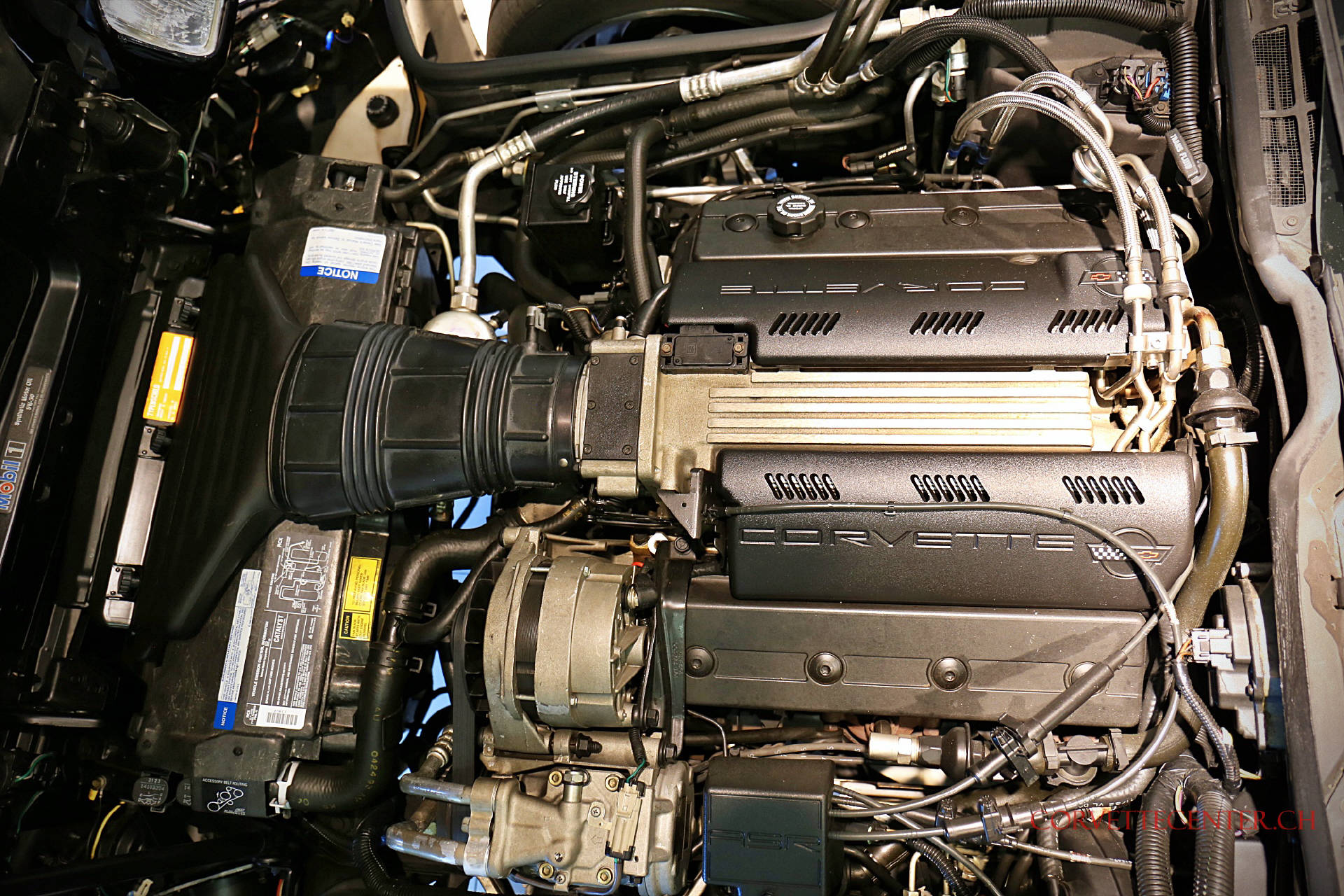 CHEVROLET Corvette C4 Targa 40th Anniversary LT1-image-12