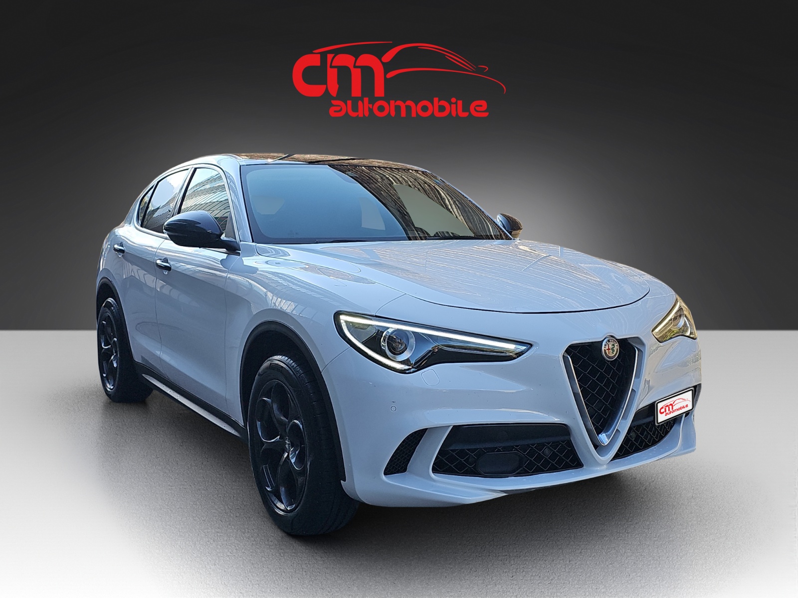ALFA ROMEO Stelvio 2.0 Super Q4 Automatic-image-3