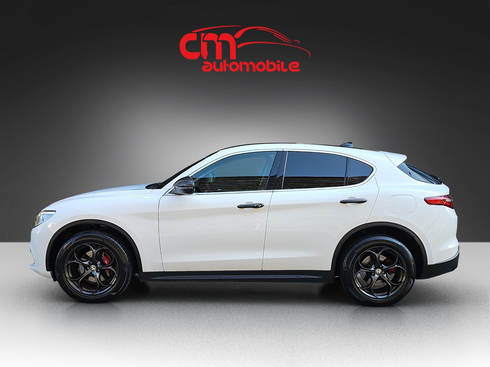 ALFA ROMEO Stelvio 2.0 Super Q4 Automatic-image-6