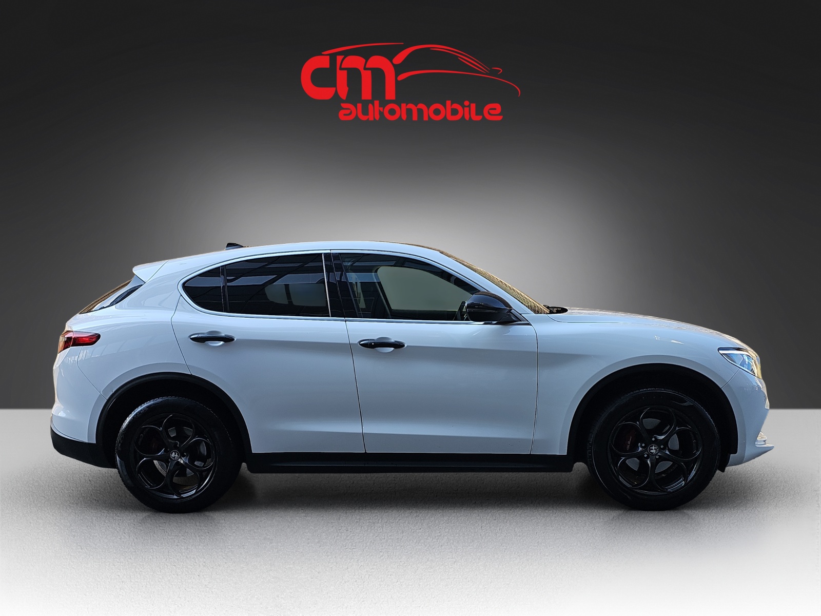 ALFA ROMEO Stelvio 2.0 Super Q4 Automatic-image-4