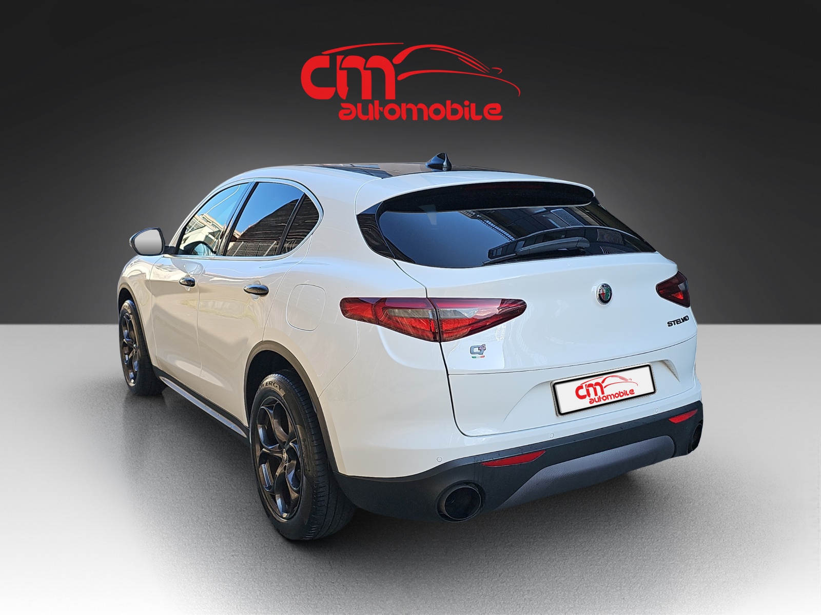 ALFA ROMEO Stelvio 2.0 Super Q4 Automatic-image-1