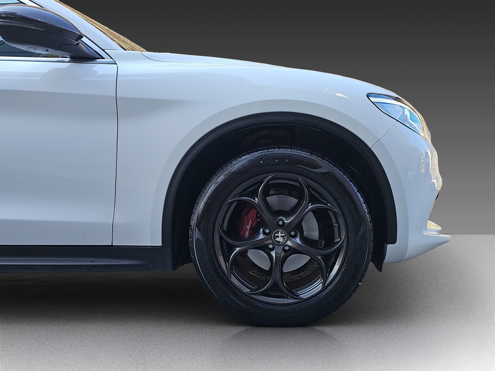 ALFA ROMEO Stelvio 2.0 Super Q4 Automatic-image-19