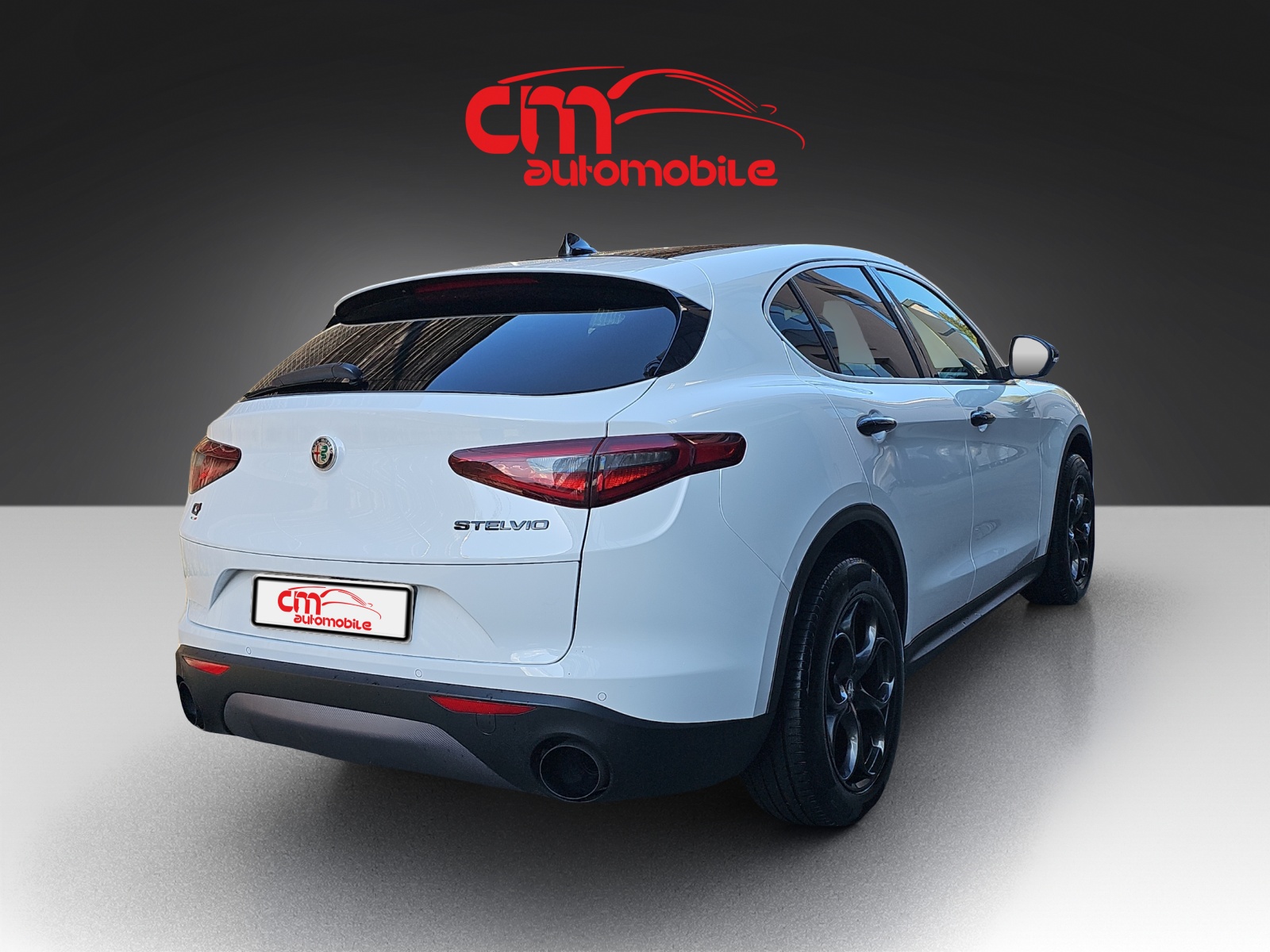 ALFA ROMEO Stelvio 2.0 Super Q4 Automatic-image-2