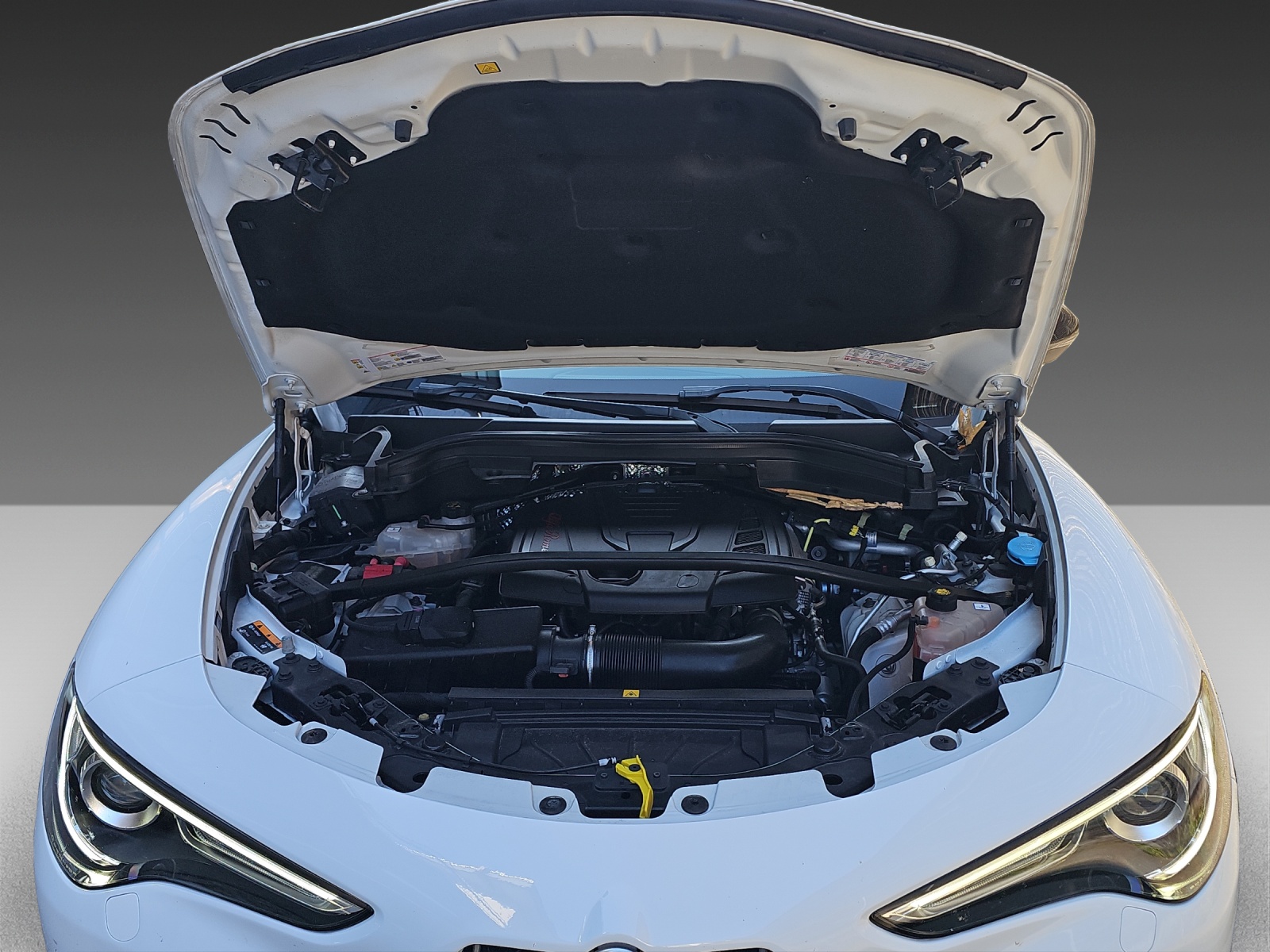 ALFA ROMEO Stelvio 2.0 Super Q4 Automatic-image-20