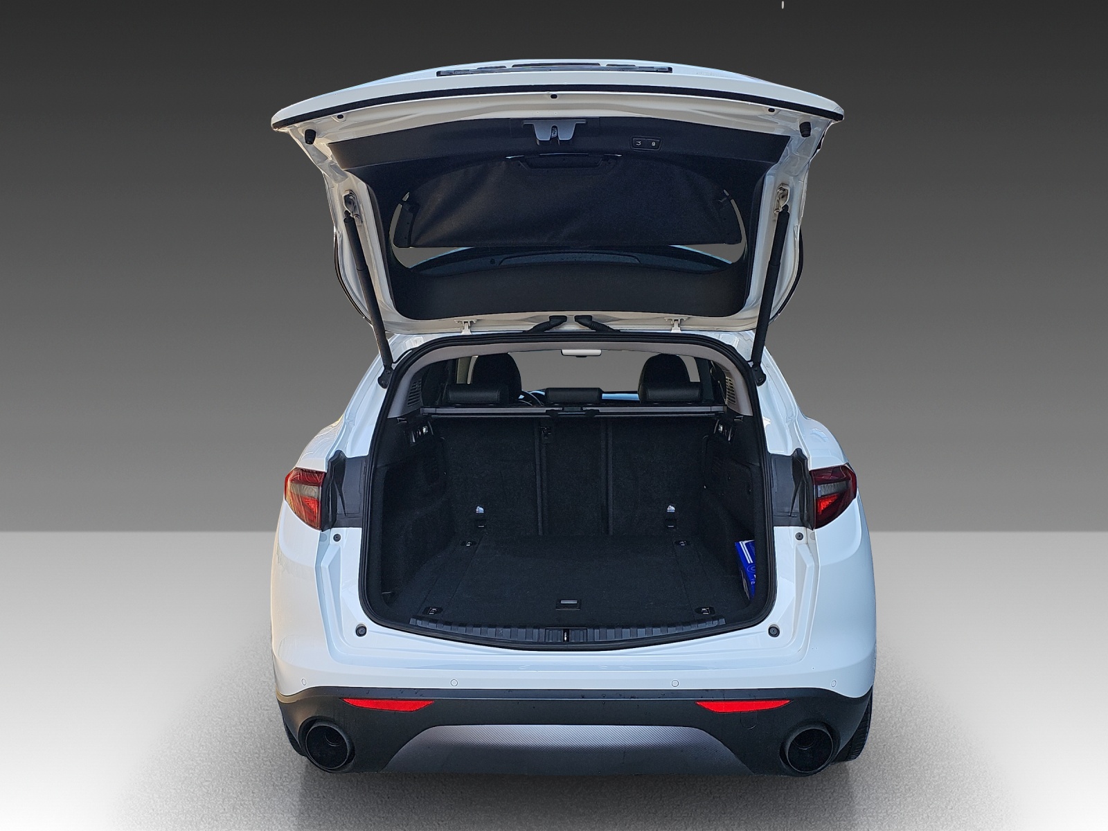 ALFA ROMEO Stelvio 2.0 Super Q4 Automatic-image-18