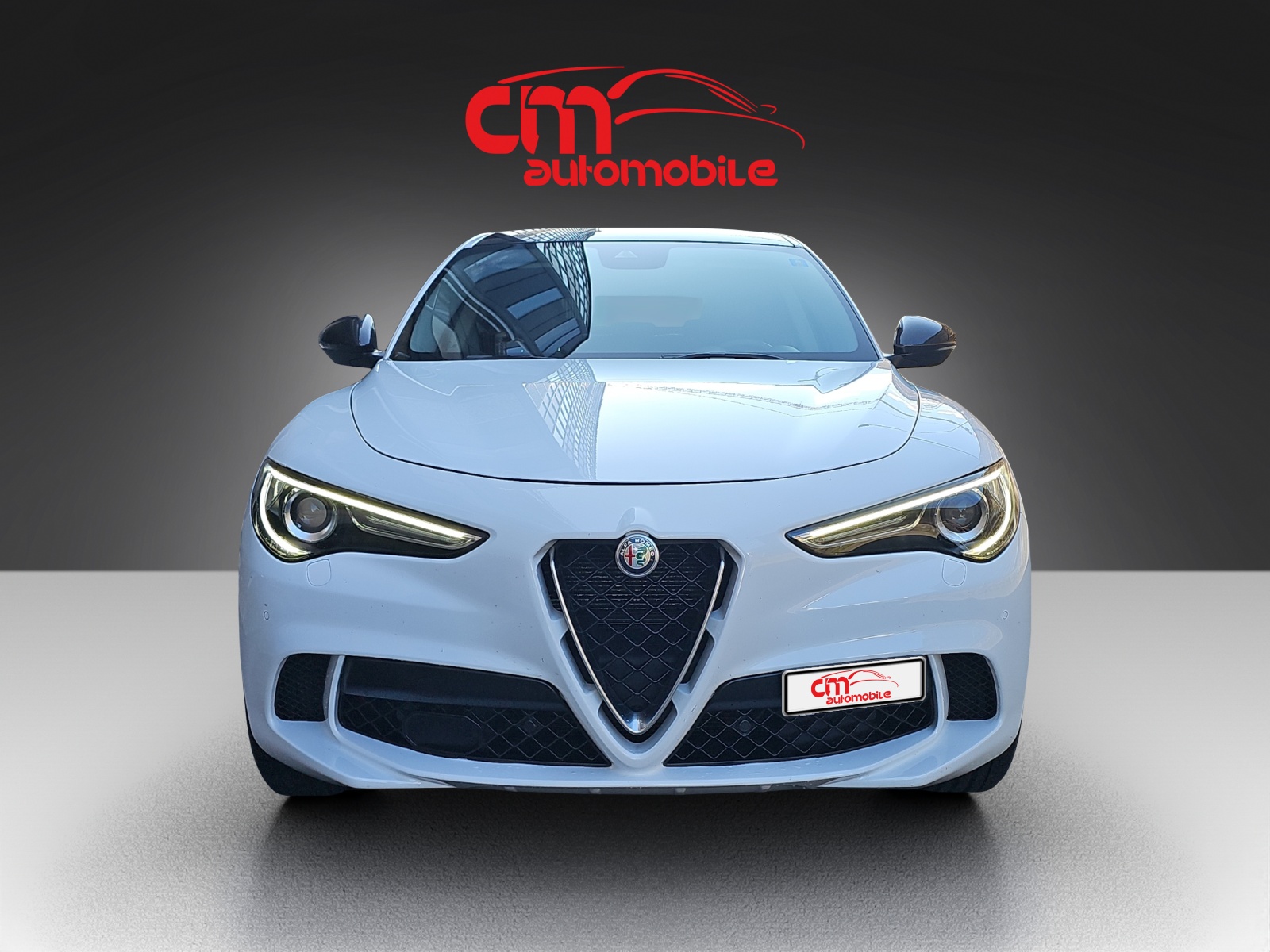 ALFA ROMEO Stelvio 2.0 Super Q4 Automatic-image-7