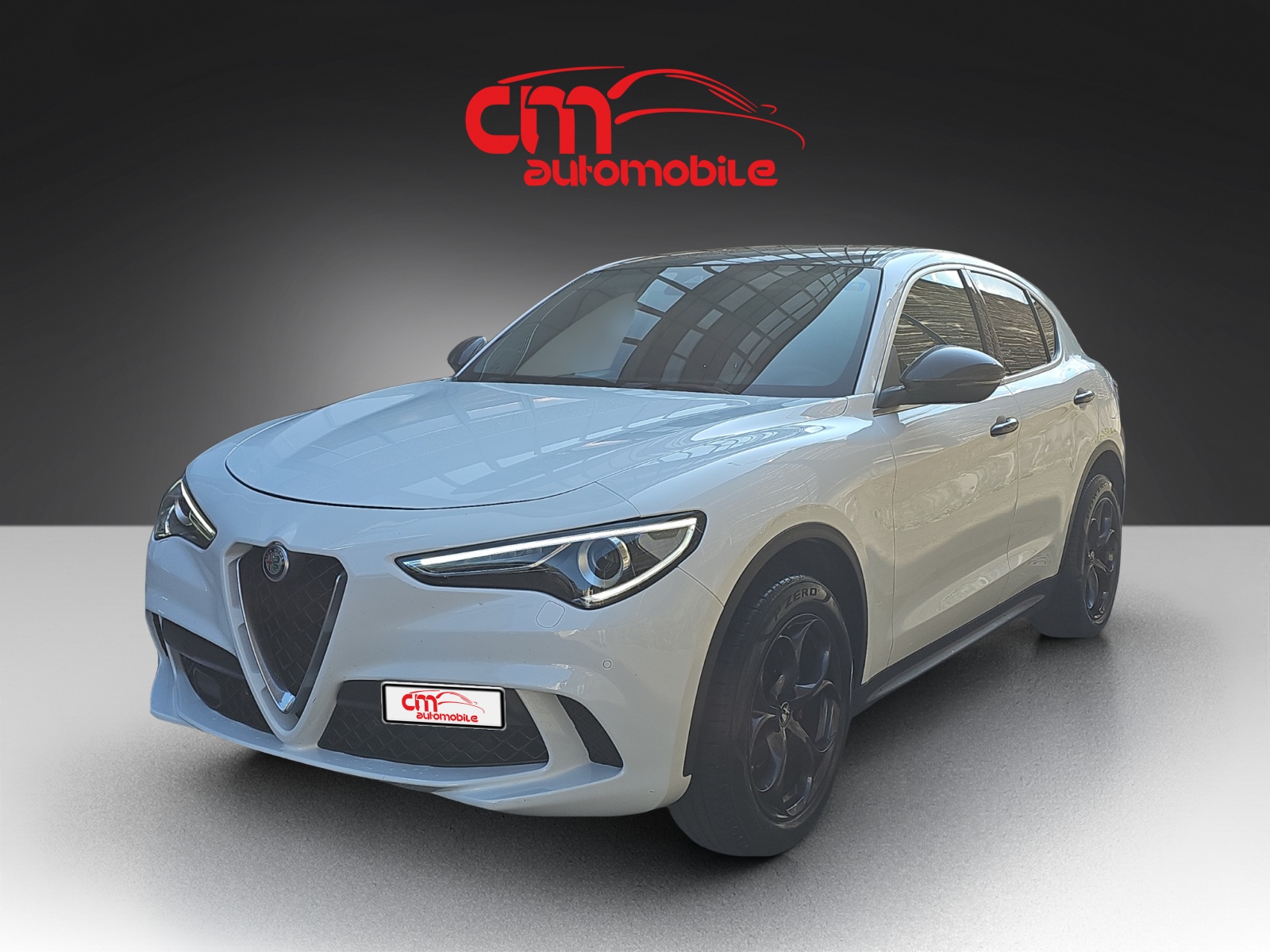 ALFA ROMEO Stelvio 2.0 Super Q4 Automatic-image-0