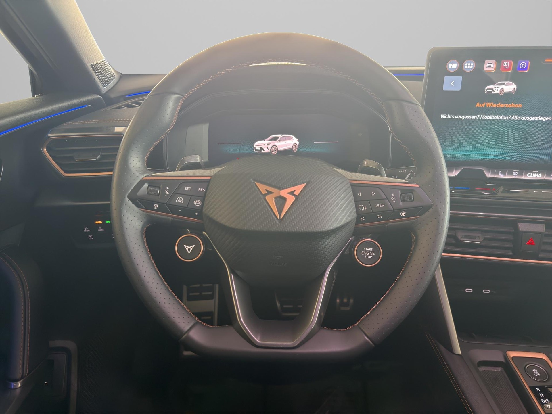 CUPRA Formentor 2.0 TSI VZ 4Drive DSG-image-13