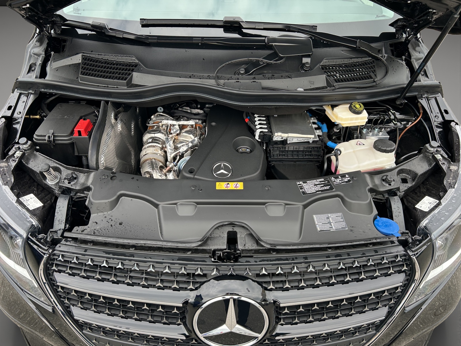 MERCEDES-BENZ Marco Polo Horizon 300 d 4M Automat-image-11