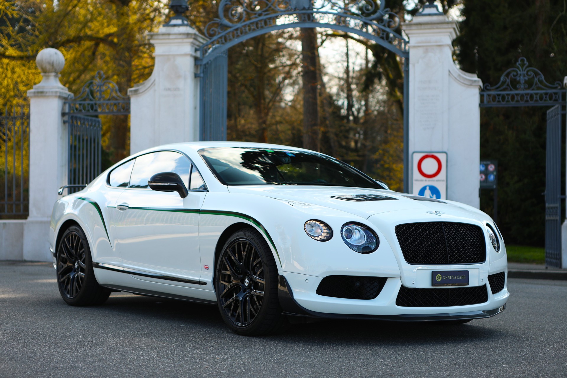 BENTLEY Continental GT3-R ( 1 of 300 )-image-11