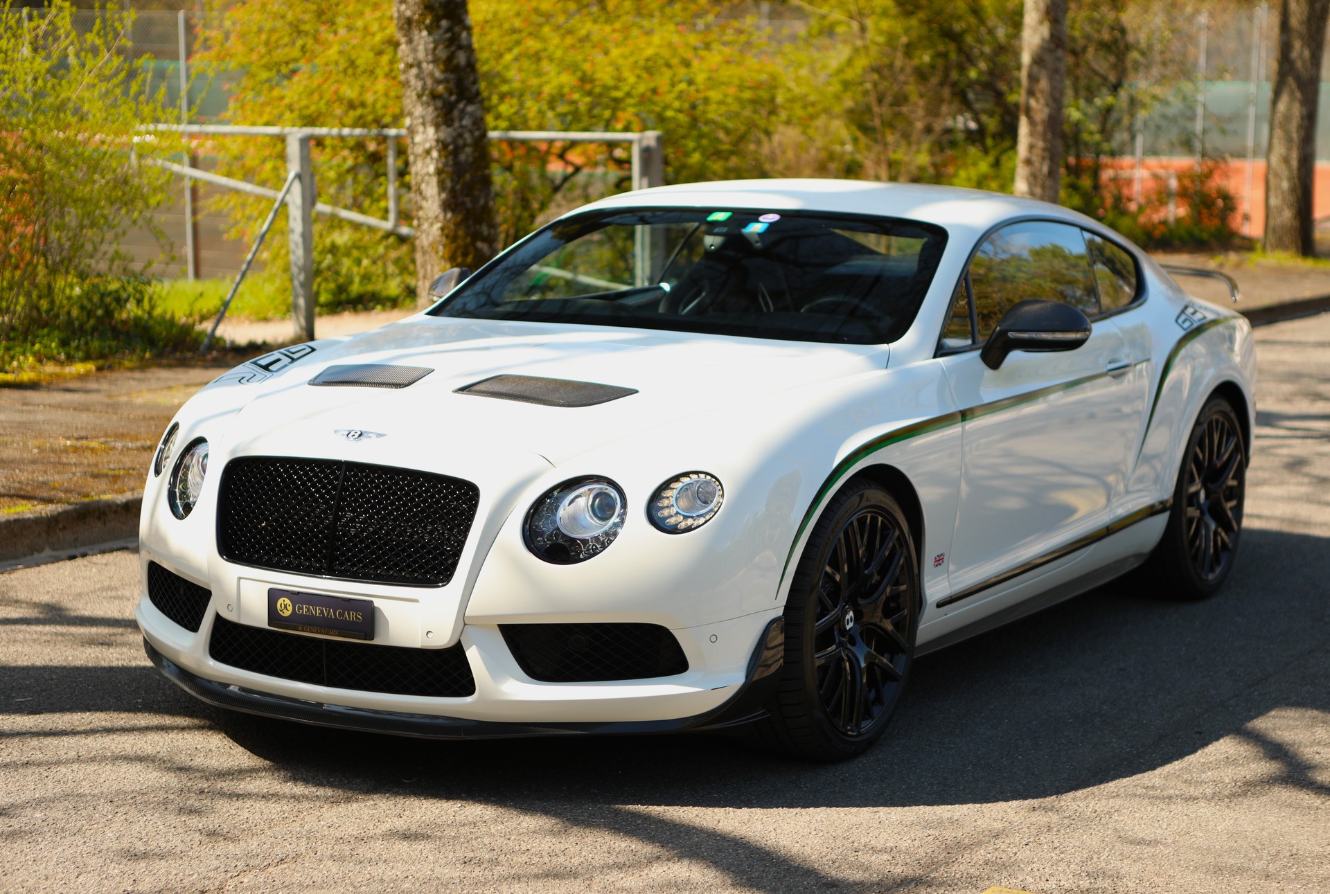 BENTLEY Continental GT3-R ( 1 of 300 )-image-15