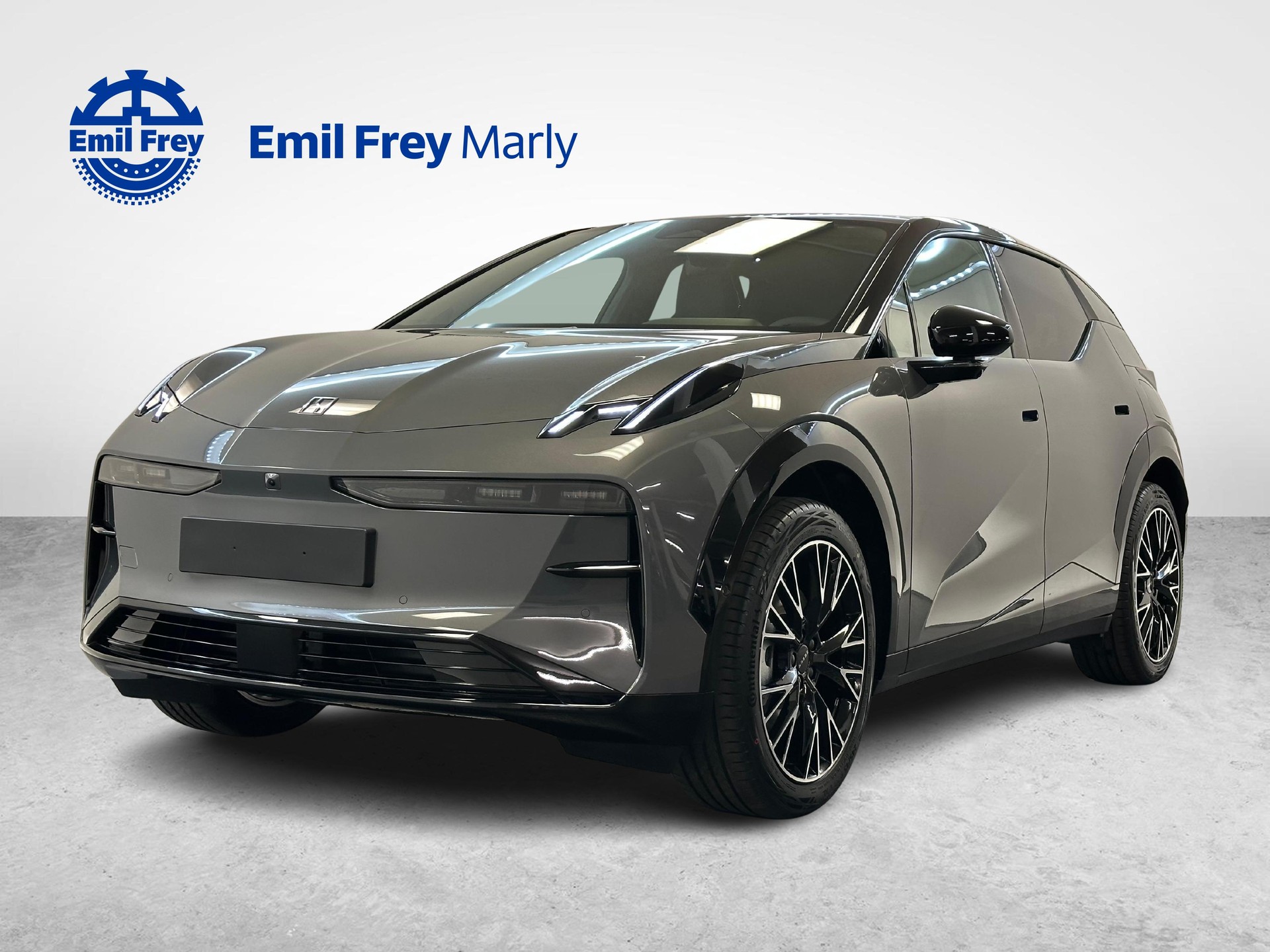 ZEEKR X Privilege AWD