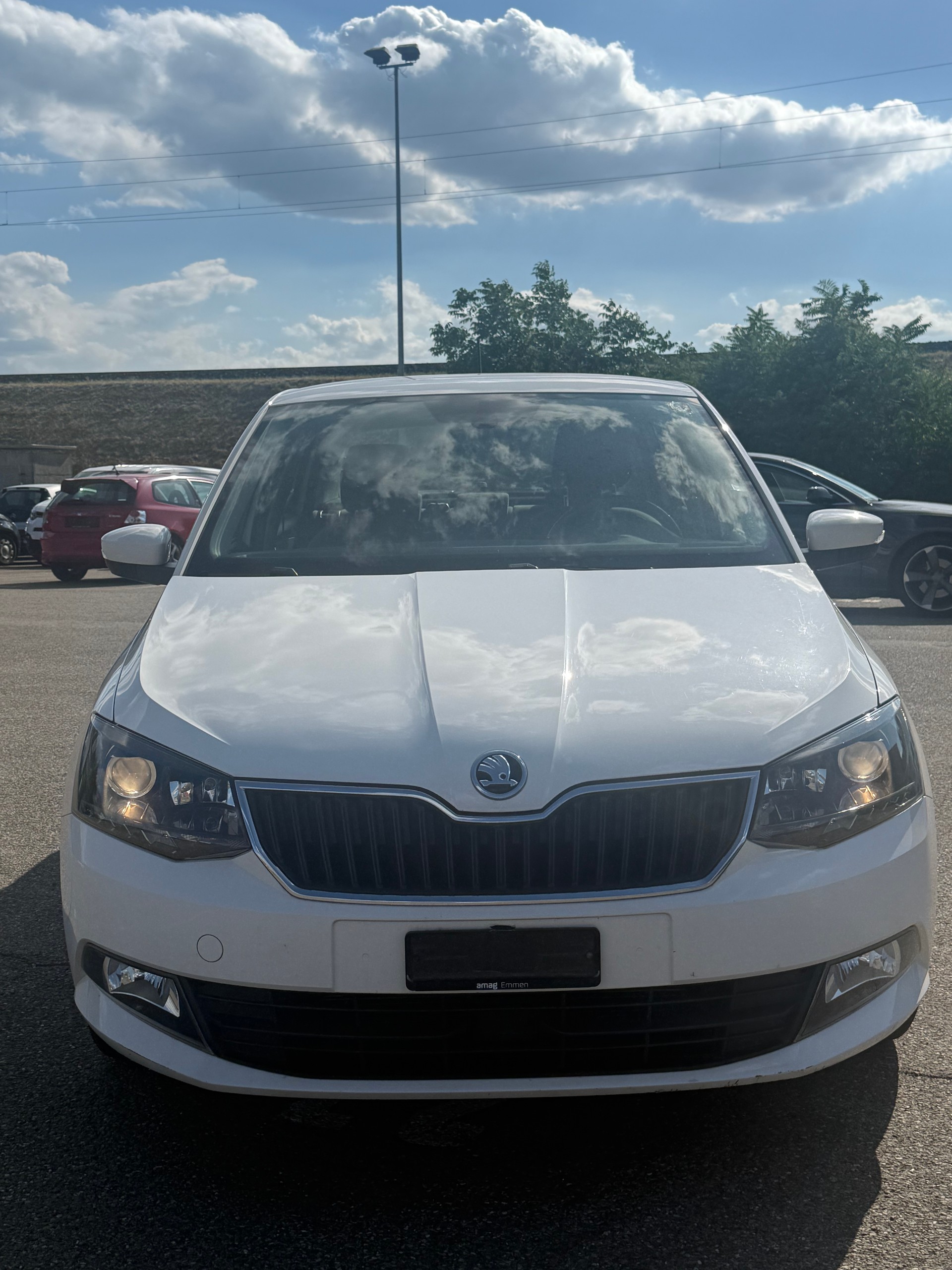 SKODA Fabia 1.4 TDI Swiss Edition-image-1
