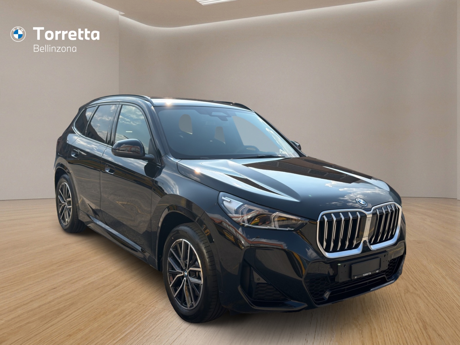 BMW X1 xDrive 25e M Sport-image-6